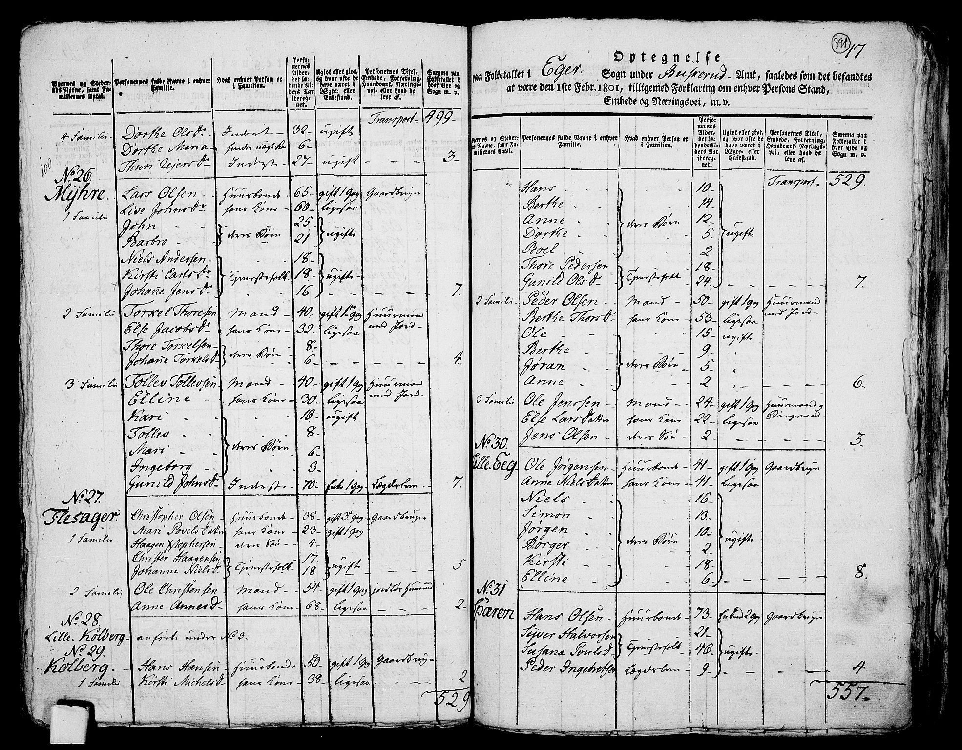 RA, 1801 census for 0624P Eiker, 1801, p. 390b-391a