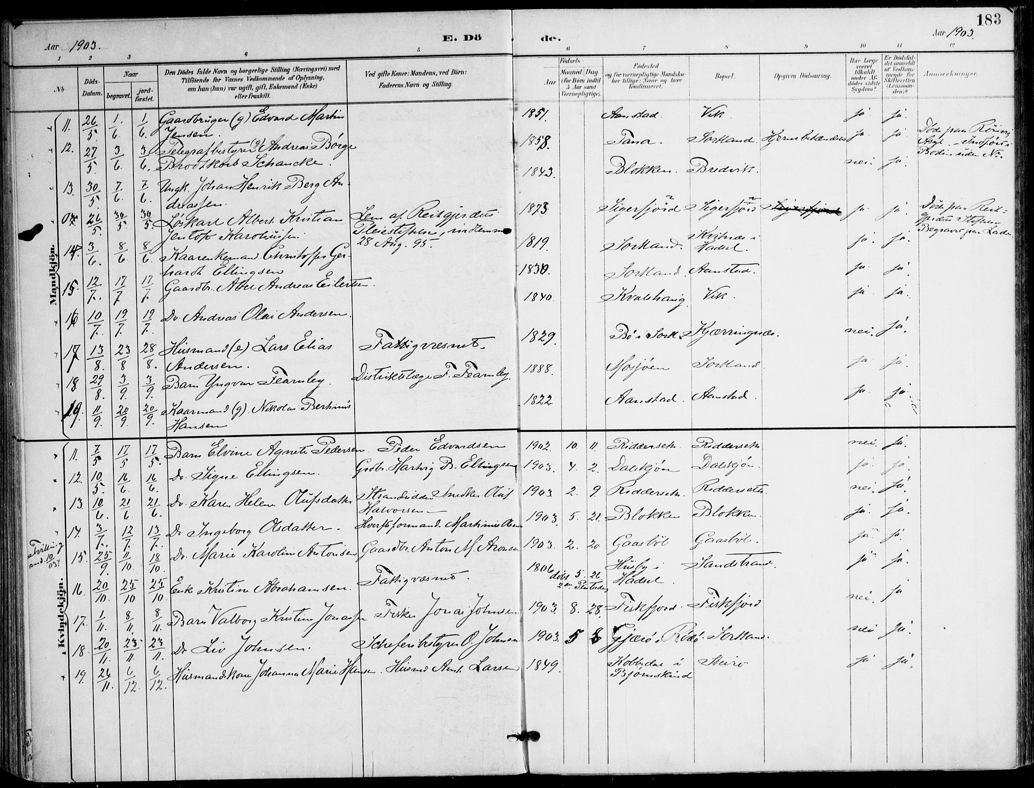 Ministerialprotokoller, klokkerbøker og fødselsregistre - Nordland, AV/SAT-A-1459/895/L1372: Parish register (official) no. 895A07, 1894-1914, p. 183