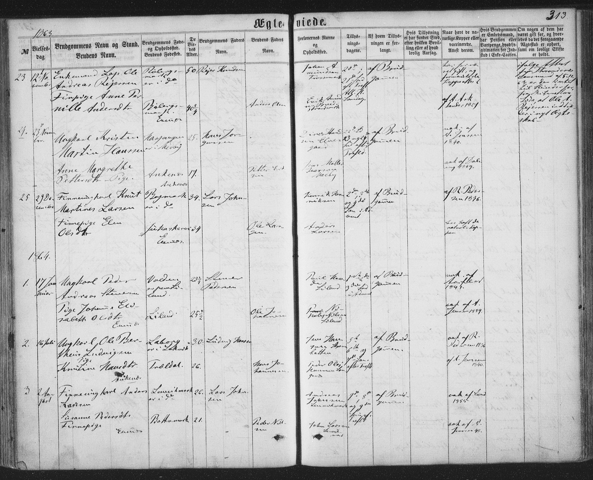 Ministerialprotokoller, klokkerbøker og fødselsregistre - Nordland, SAT/A-1459/863/L0896: Parish register (official) no. 863A08, 1861-1871, p. 313