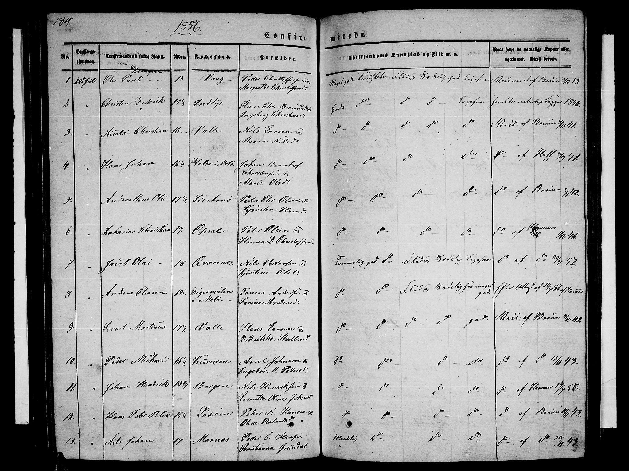 Ministerialprotokoller, klokkerbøker og fødselsregistre - Nordland, SAT/A-1459/805/L0106: Parish register (copy) no. 805C02, 1841-1861, p. 184