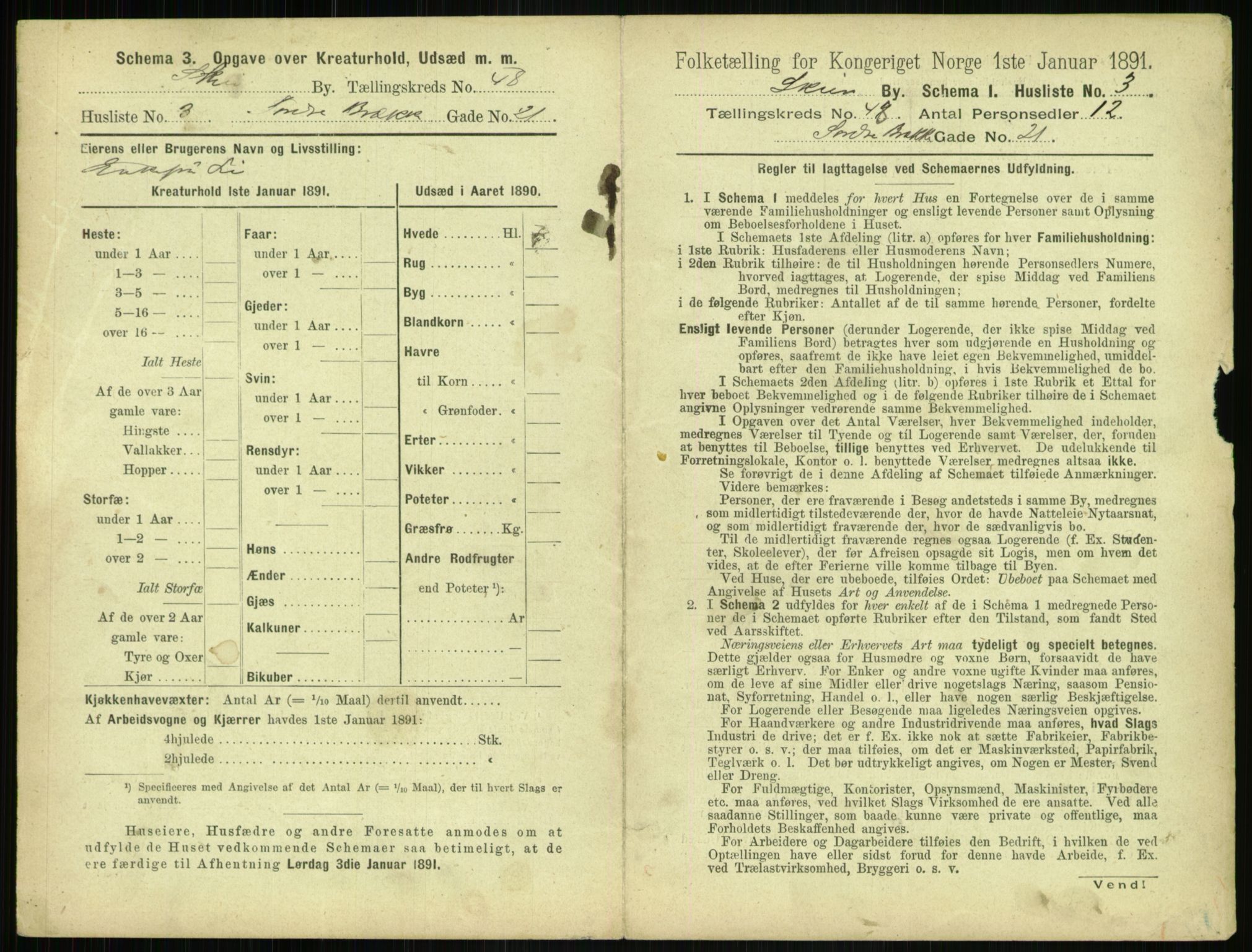 RA, 1891 census for 0806 Skien, 1891, p. 1786