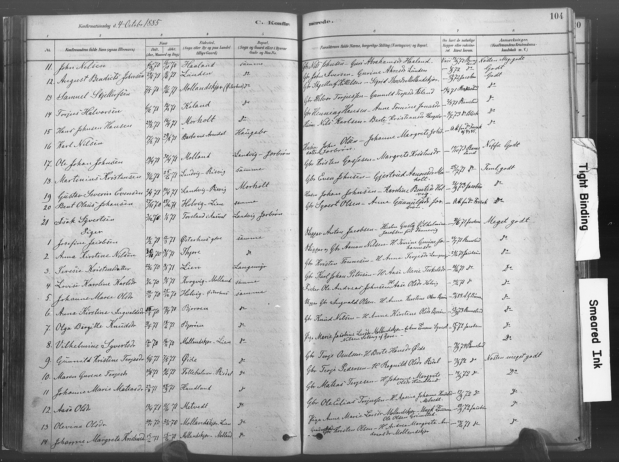 Hommedal sokneprestkontor, SAK/1111-0023/F/Fa/Fab/L0006: Parish register (official) no. A 6, 1878-1897, p. 104