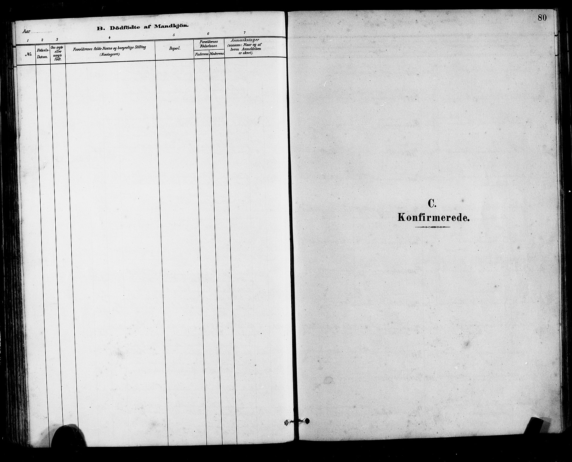 Ministerialprotokoller, klokkerbøker og fødselsregistre - Møre og Romsdal, SAT/A-1454/525/L0376: Parish register (copy) no. 525C02, 1880-1902, p. 80