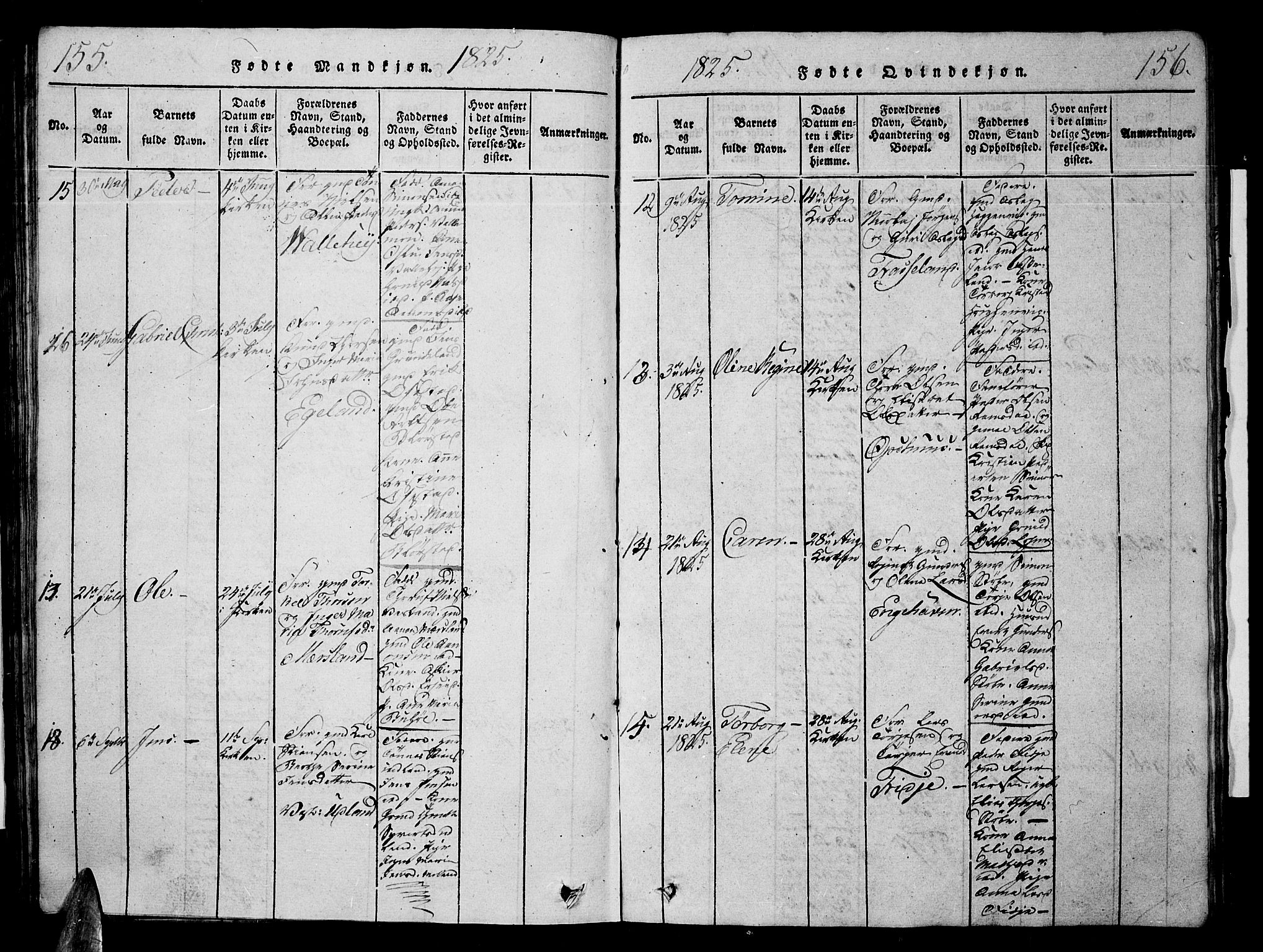 Sør-Audnedal sokneprestkontor, AV/SAK-1111-0039/F/Fb/Fbb/L0001: Parish register (copy) no. B 1, 1815-1827, p. 155-156