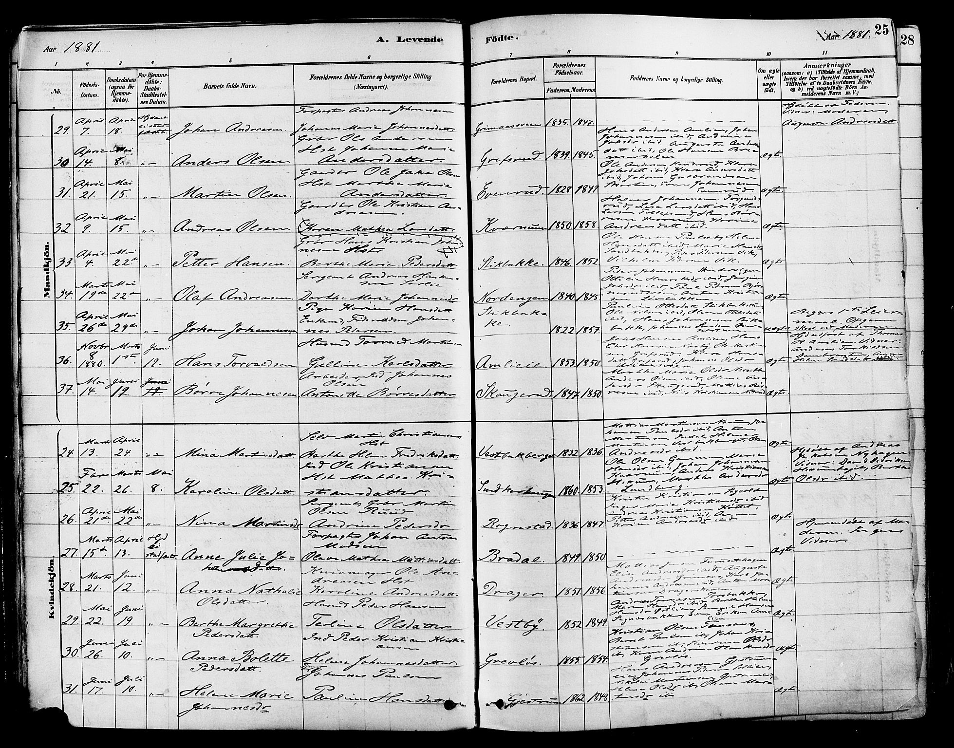 Vestre Toten prestekontor, AV/SAH-PREST-108/H/Ha/Haa/L0009: Parish register (official) no. 9, 1878-1894, p. 25