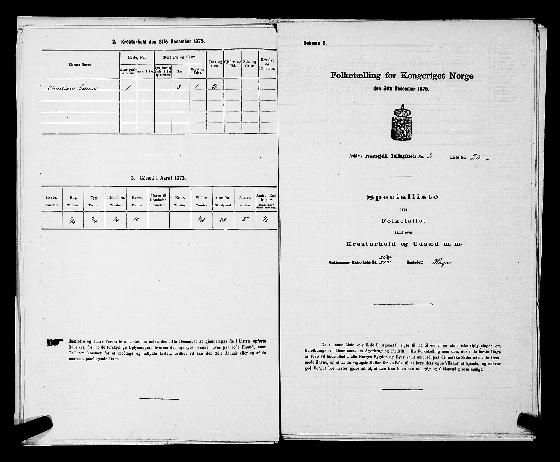 RA, 1875 census for 0124P Askim, 1875, p. 132