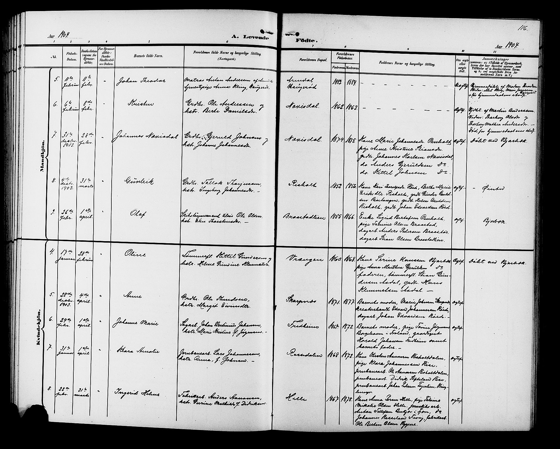 Øyestad sokneprestkontor, SAK/1111-0049/F/Fb/L0010: Parish register (copy) no. B 10, 1897-1906, p. 116