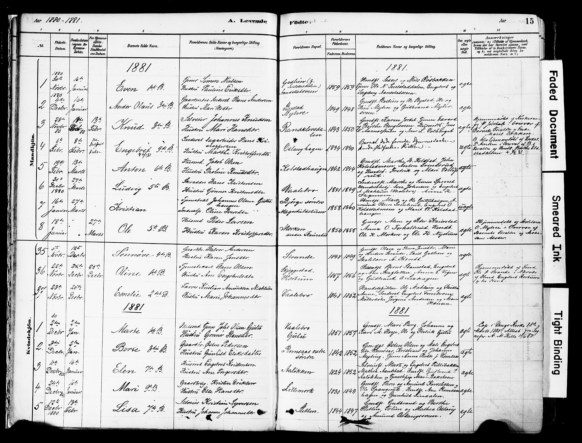 Ringebu prestekontor, AV/SAH-PREST-082/H/Ha/Haa/L0008: Parish register (official) no. 8, 1878-1898, p. 15