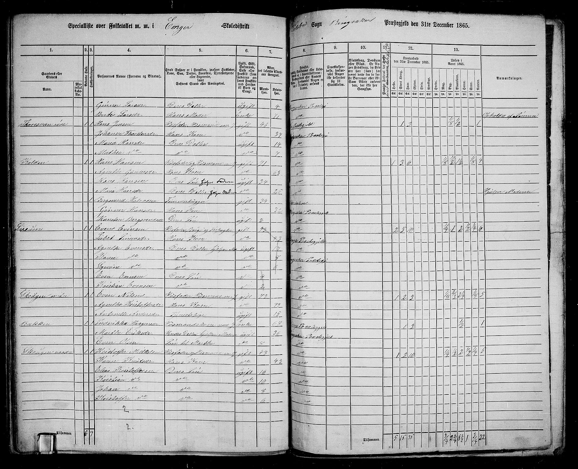 RA, 1865 census for Ringsaker, 1865, p. 240