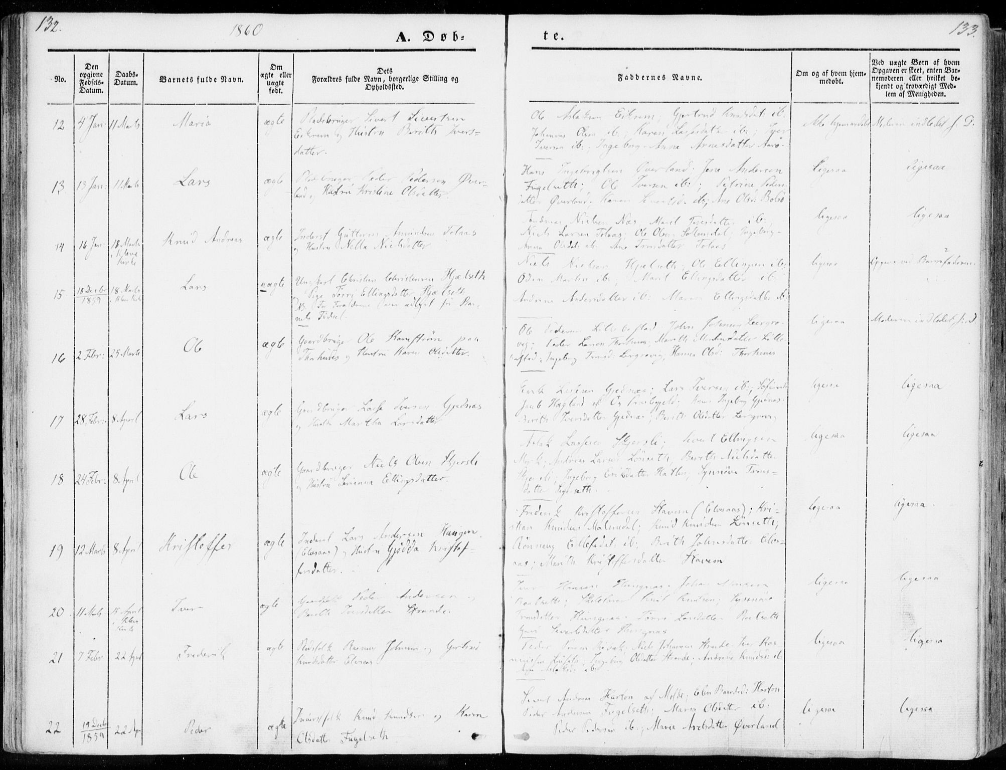 Ministerialprotokoller, klokkerbøker og fødselsregistre - Møre og Romsdal, AV/SAT-A-1454/555/L0653: Parish register (official) no. 555A04, 1843-1869, p. 132-133