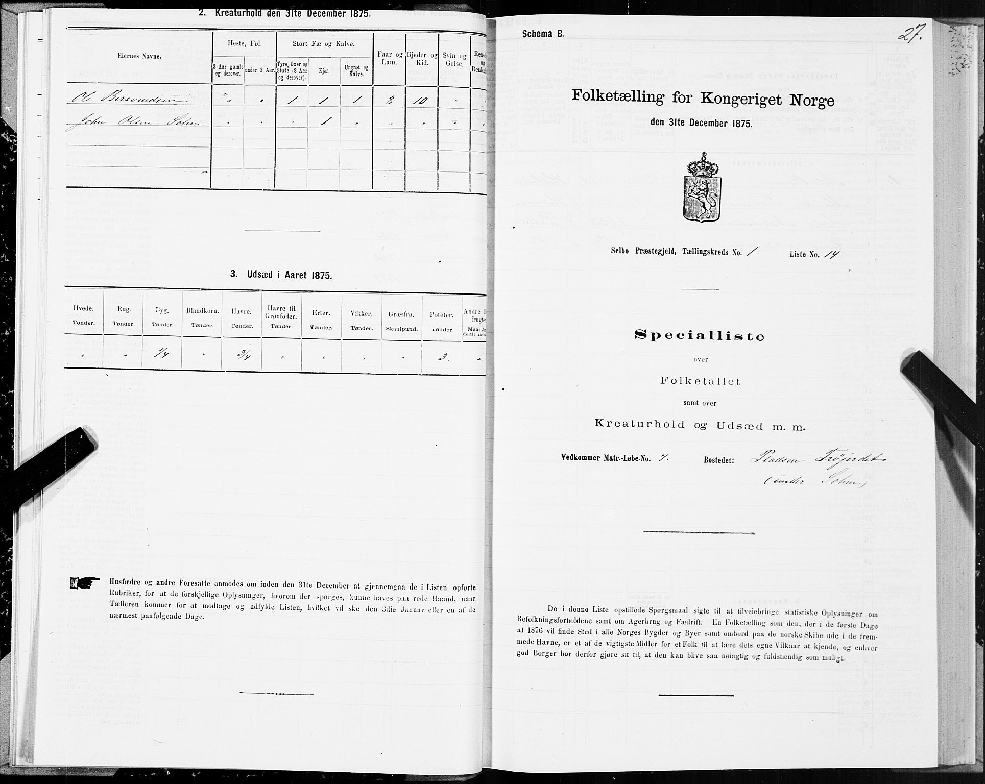 SAT, 1875 census for 1664P Selbu, 1875, p. 1027