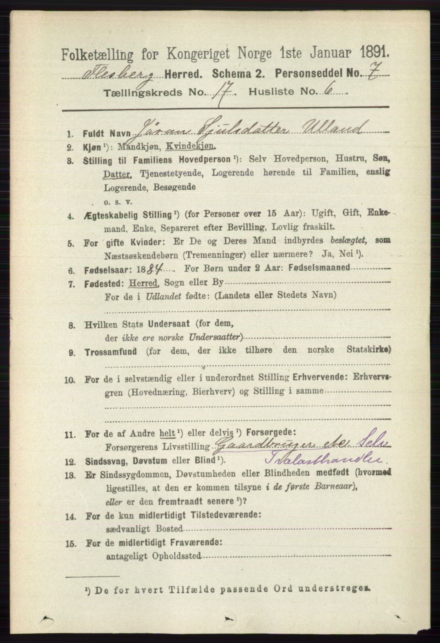 RA, 1891 census for 0631 Flesberg, 1891, p. 3019