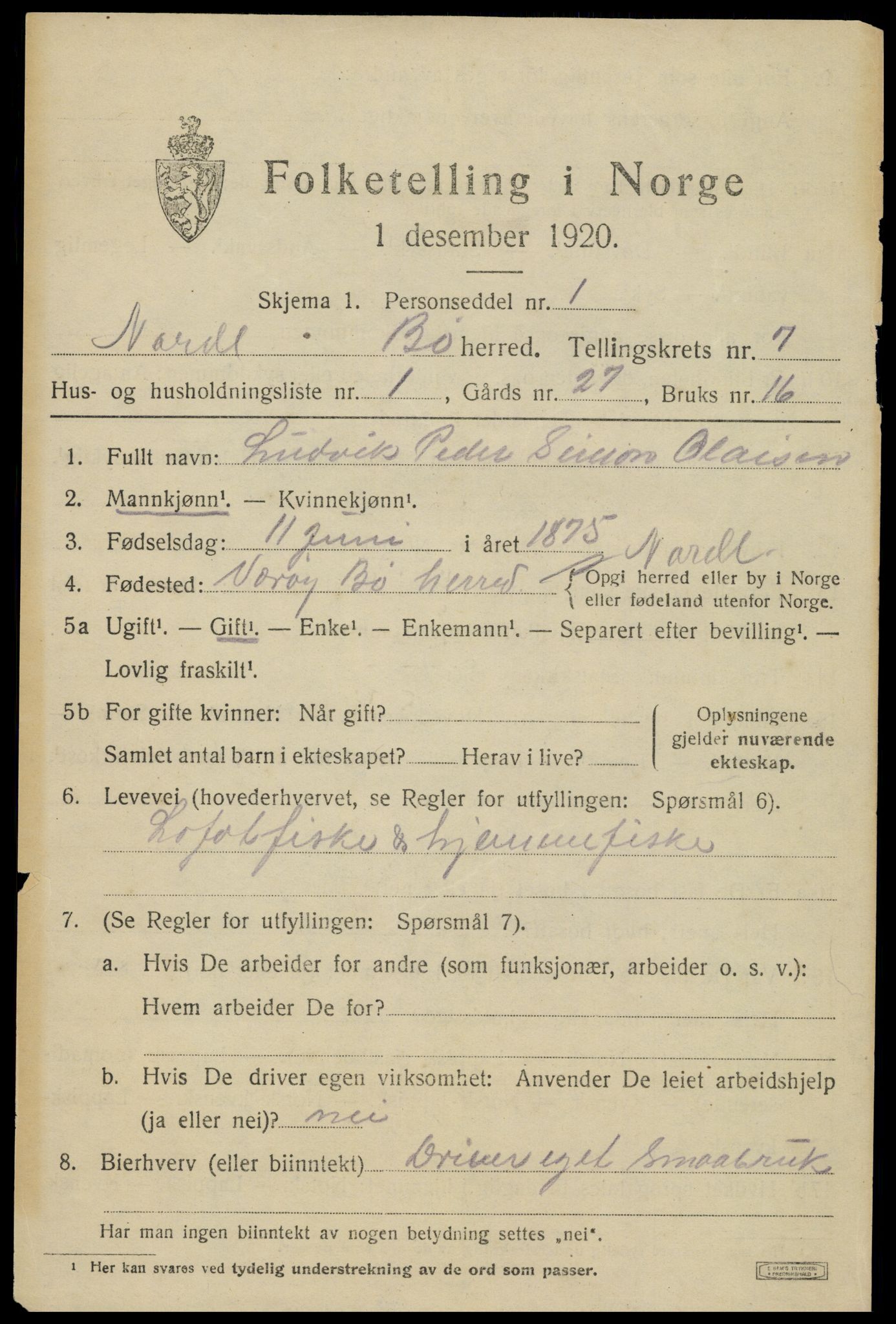 SAT, 1920 census for Bø, 1920, p. 6036