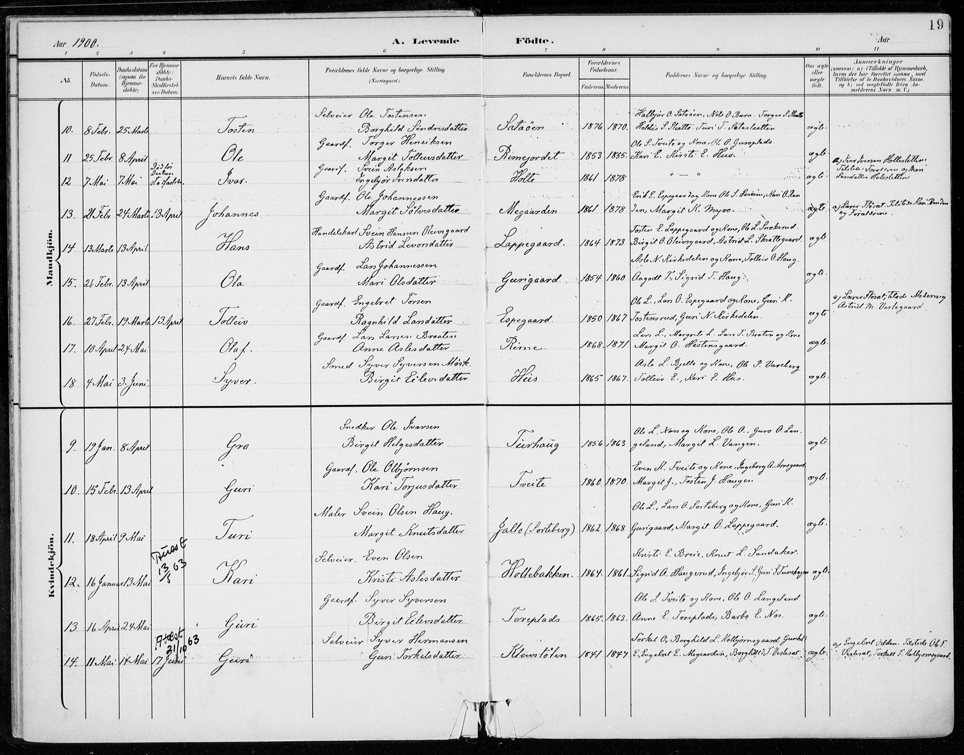 Ål kirkebøker, AV/SAKO-A-249/F/Fa/L0009: Parish register (official) no. I 9, 1897-1915, p. 19