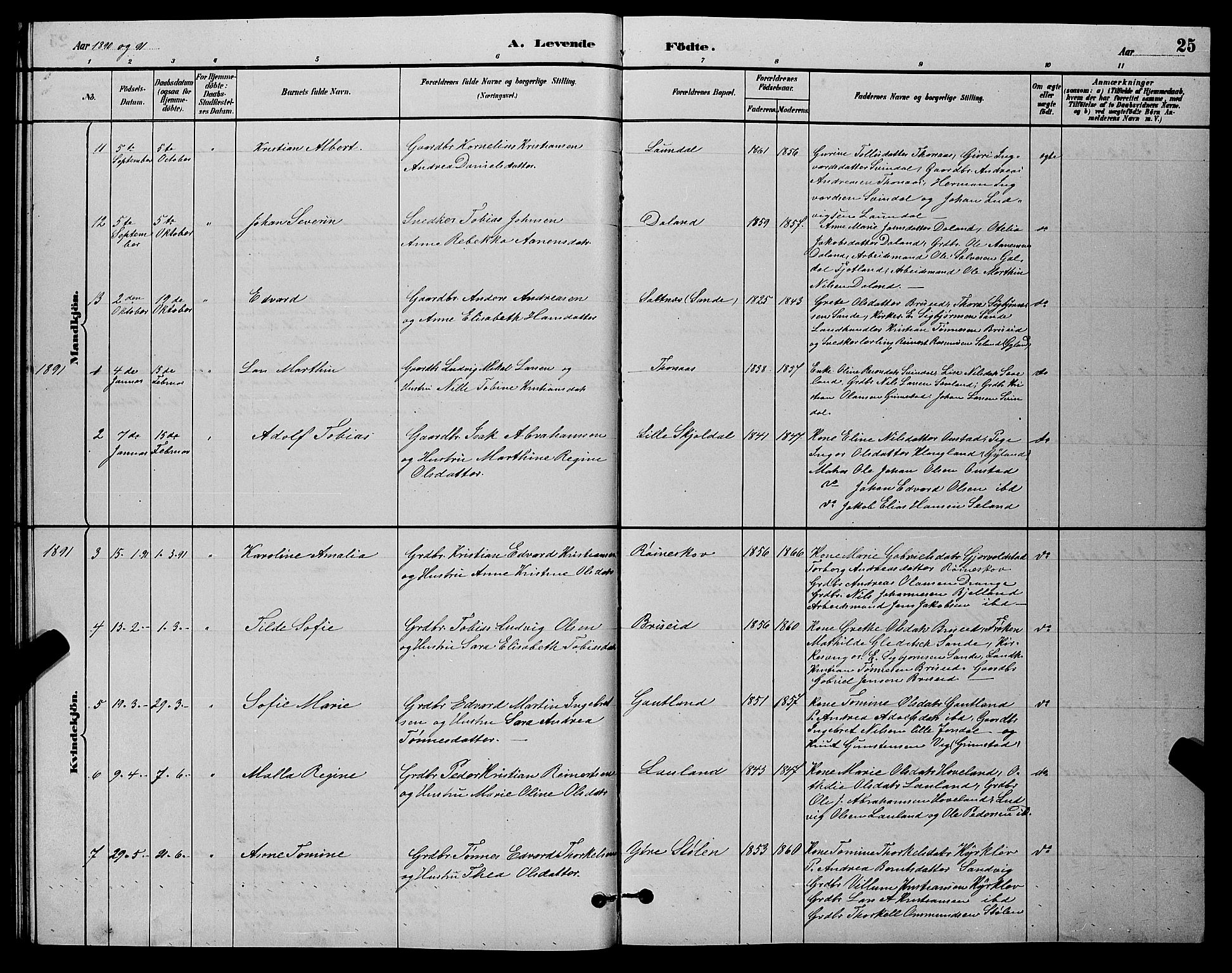 Herad sokneprestkontor, AV/SAK-1111-0018/F/Fb/Fba/L0004: Parish register (copy) no. B 4, 1882-1899, p. 25