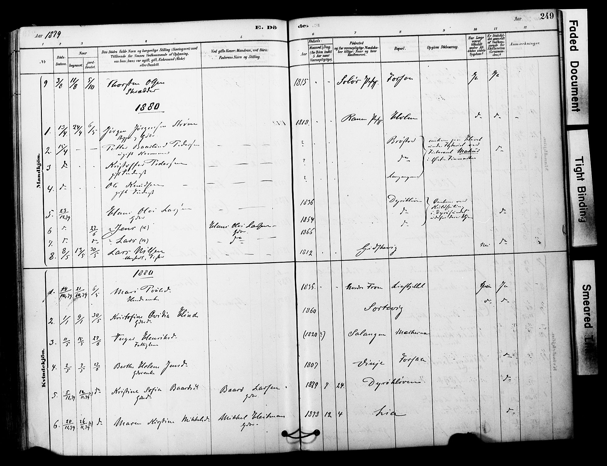 Tranøy sokneprestkontor, SATØ/S-1313/I/Ia/Iaa/L0011kirke: Parish register (official) no. 11, 1878-1904, p. 249
