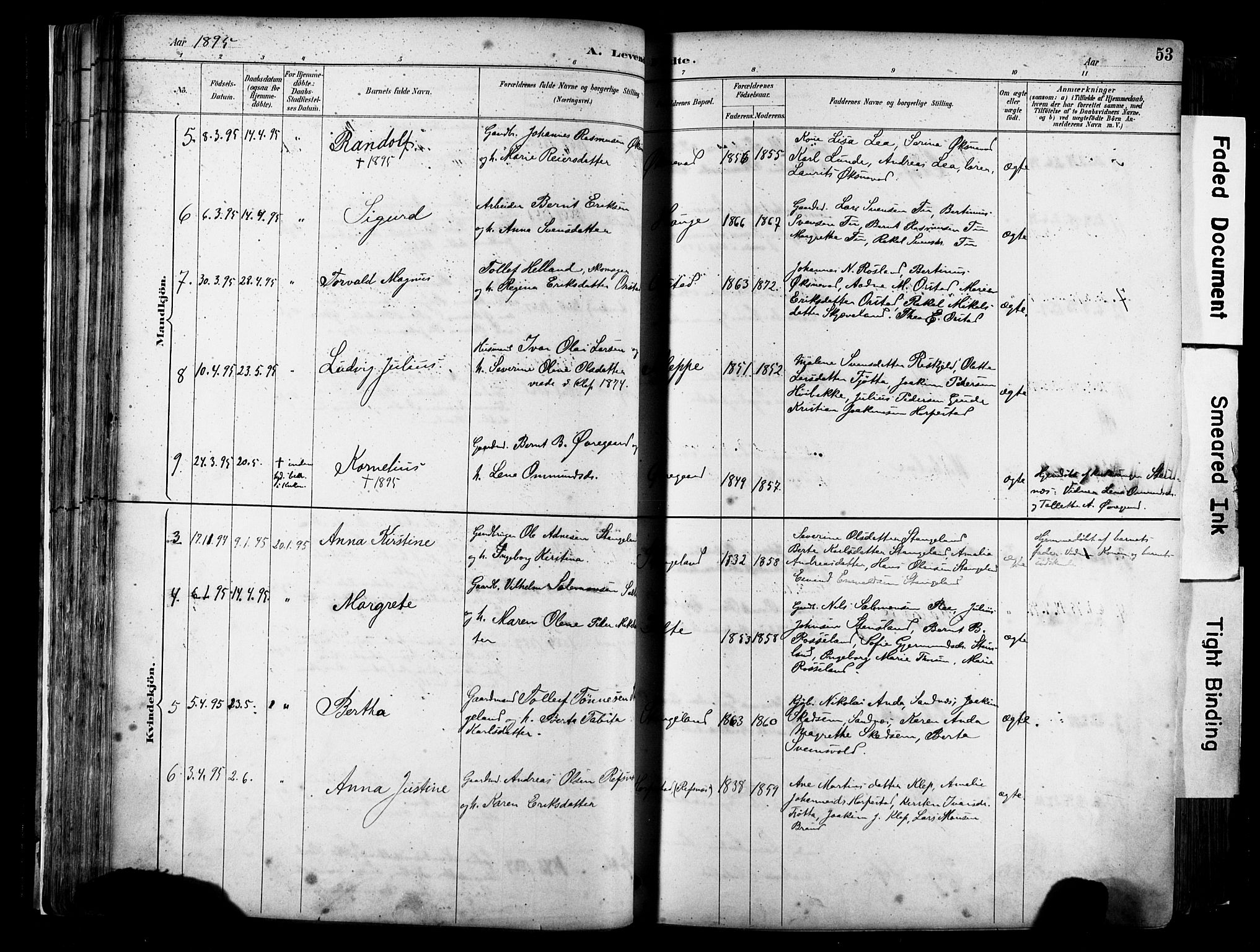 Klepp sokneprestkontor, SAST/A-101803/001/3/30BA/L0009: Parish register (official) no. A 7, 1886-1915, p. 53