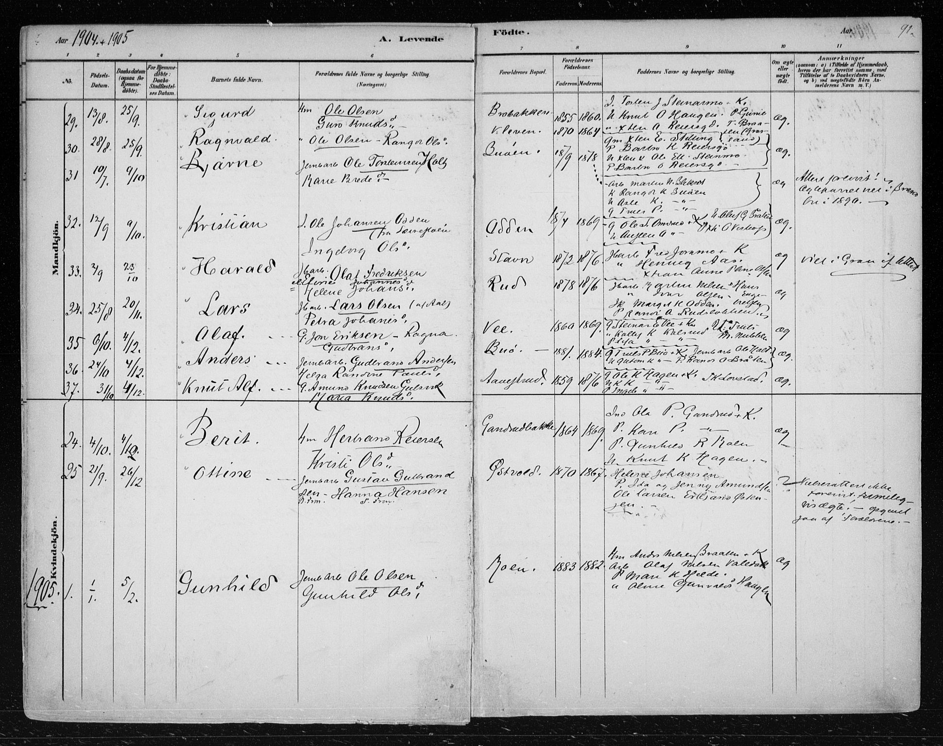 Nes kirkebøker, SAKO/A-236/F/Fa/L0012: Parish register (official) no. 12, 1881-1917, p. 91