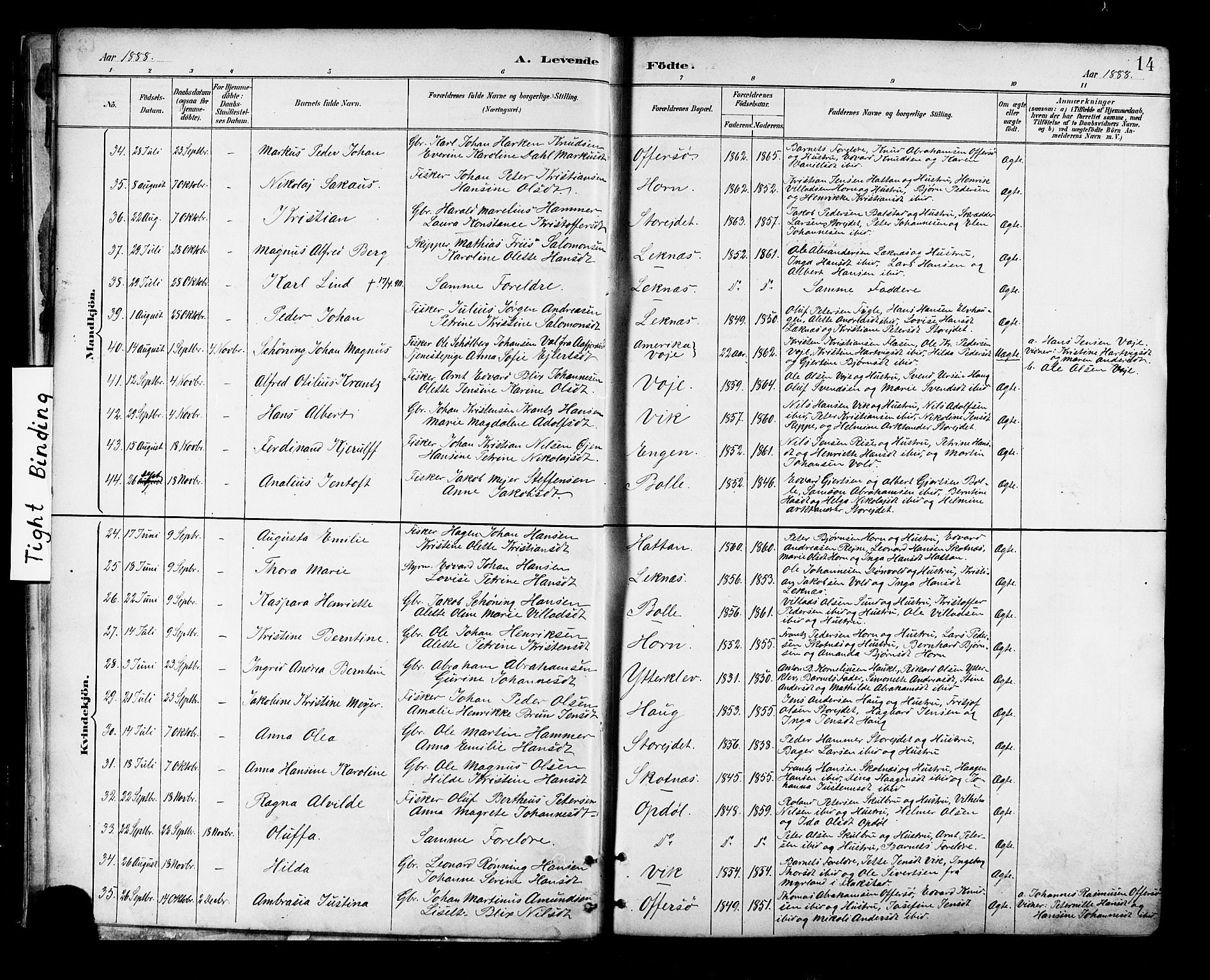 Ministerialprotokoller, klokkerbøker og fødselsregistre - Nordland, SAT/A-1459/881/L1167: Parish register (copy) no. 881C04, 1886-1899, p. 14