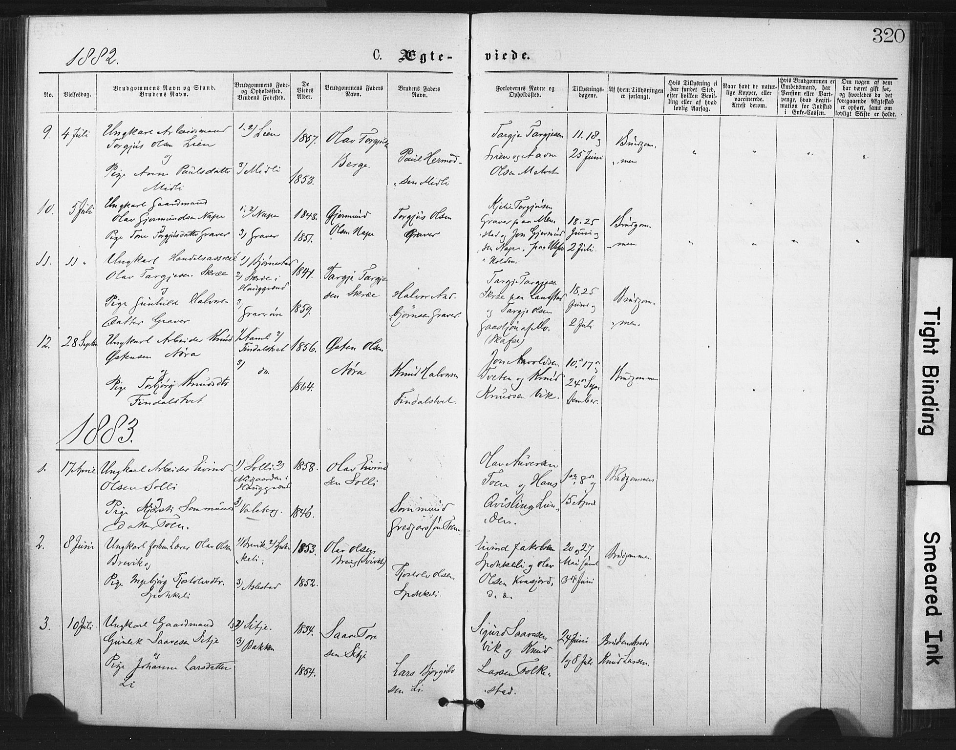 Fyresdal kirkebøker, AV/SAKO-A-263/F/Fa/L0006: Parish register (official) no. I 6, 1872-1886, p. 320