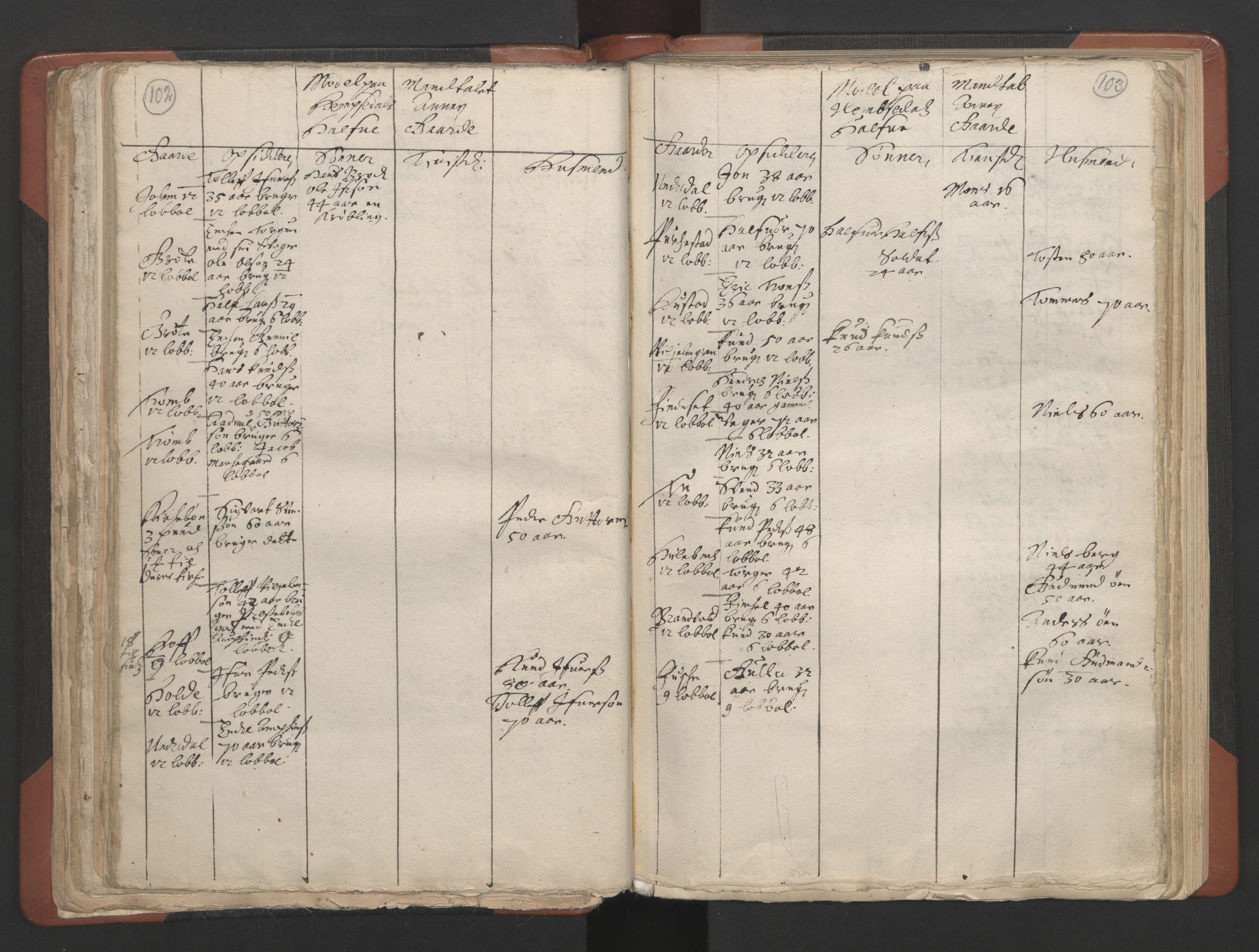 RA, Vicar's Census 1664-1666, no. 8: Valdres deanery, 1664-1666, p. 102-103