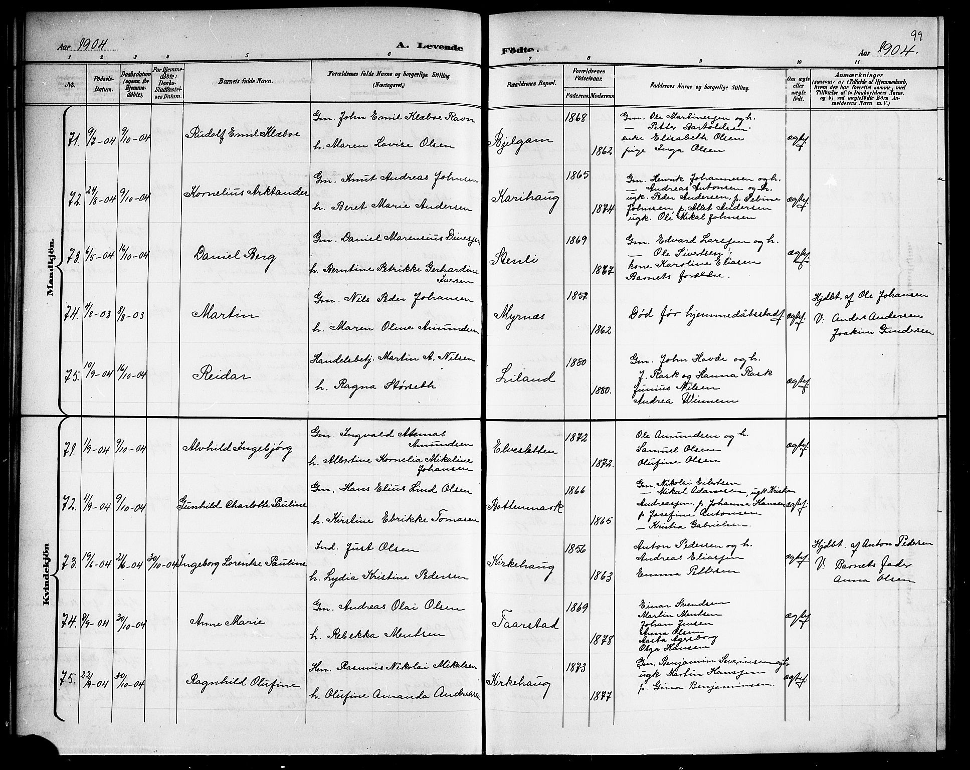 Ministerialprotokoller, klokkerbøker og fødselsregistre - Nordland, AV/SAT-A-1459/863/L0915: Parish register (copy) no. 863C05, 1898-1907, p. 99