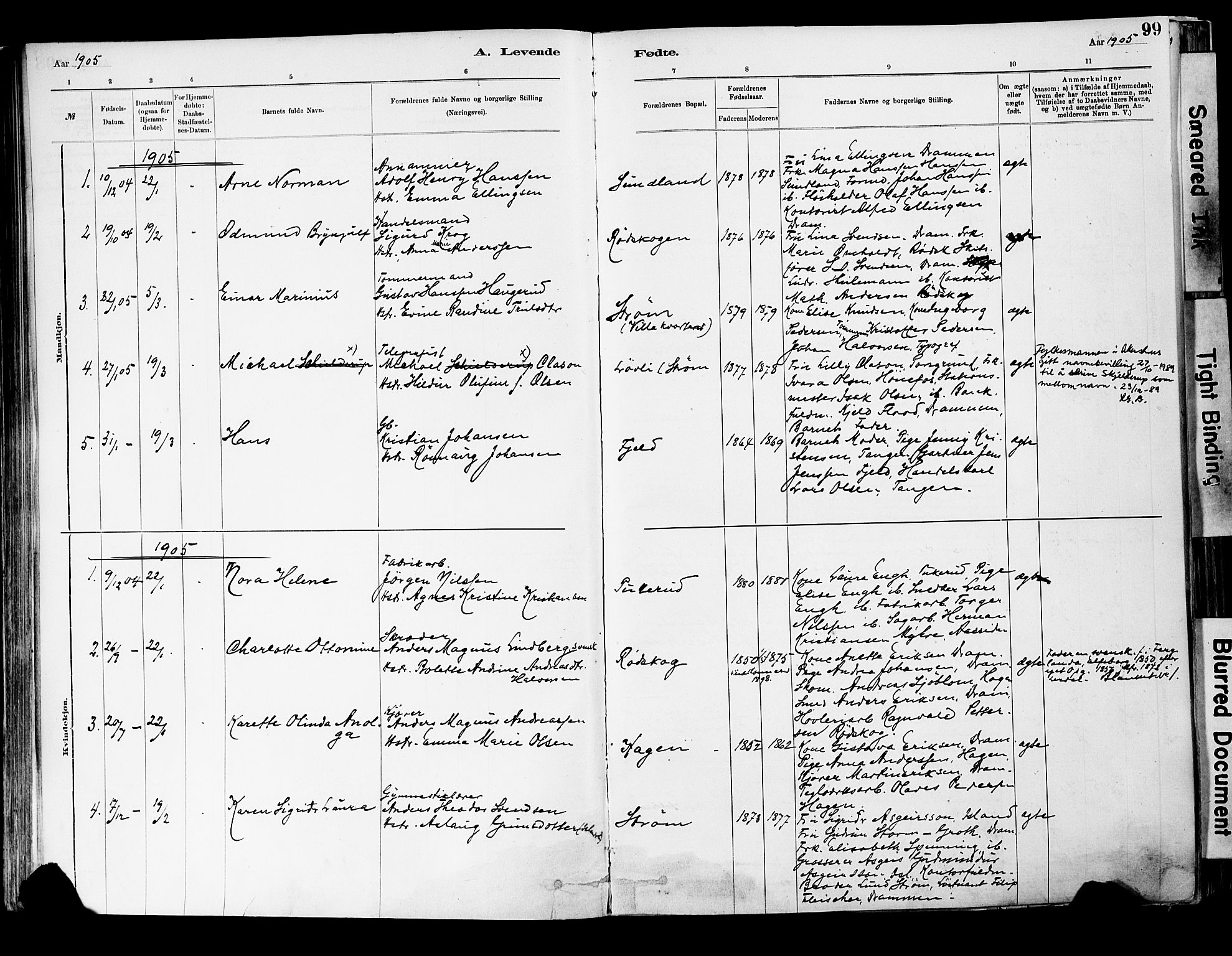 Strømsgodset kirkebøker, AV/SAKO-A-324/F/Fa/L0001: Parish register (official) no. 1, 1885-1909, p. 99