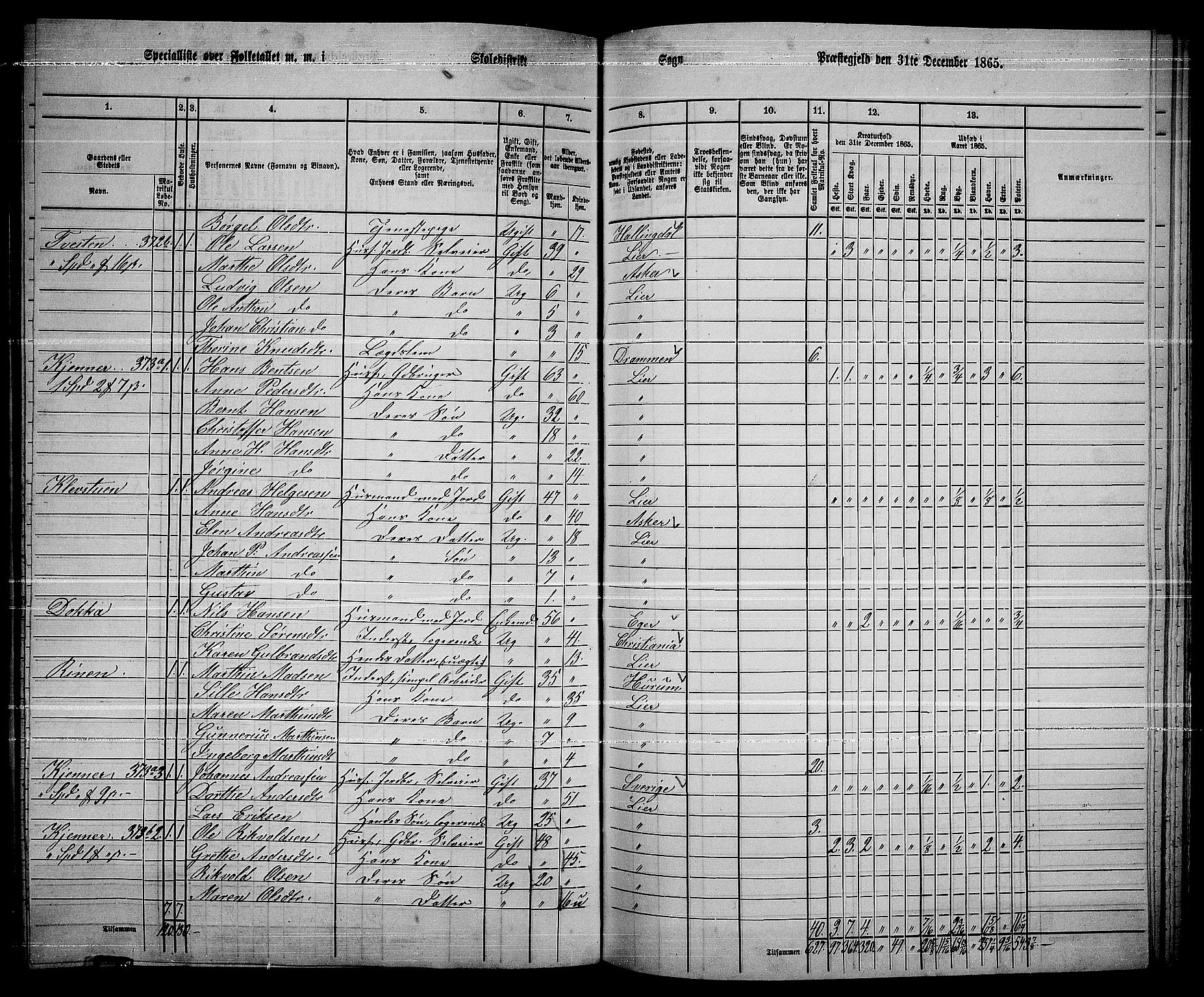 RA, 1865 census for Lier, 1865, p. 202