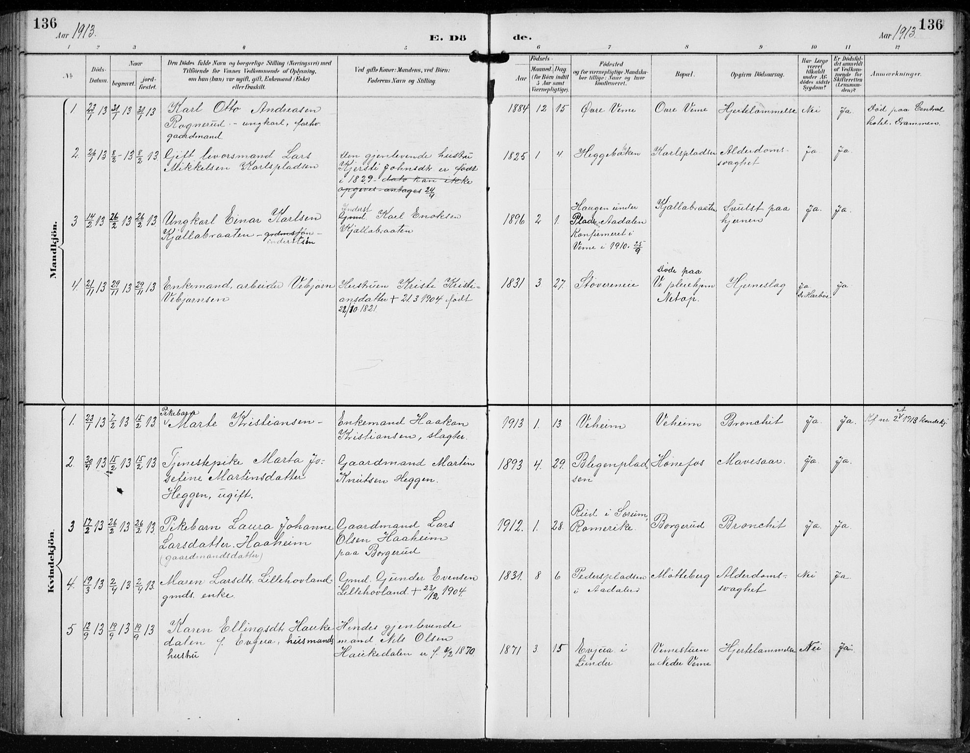 Lunder kirkebøker, SAKO/A-629/F/Fb/L0001: Parish register (official) no. II 1, 1893-1916, p. 136