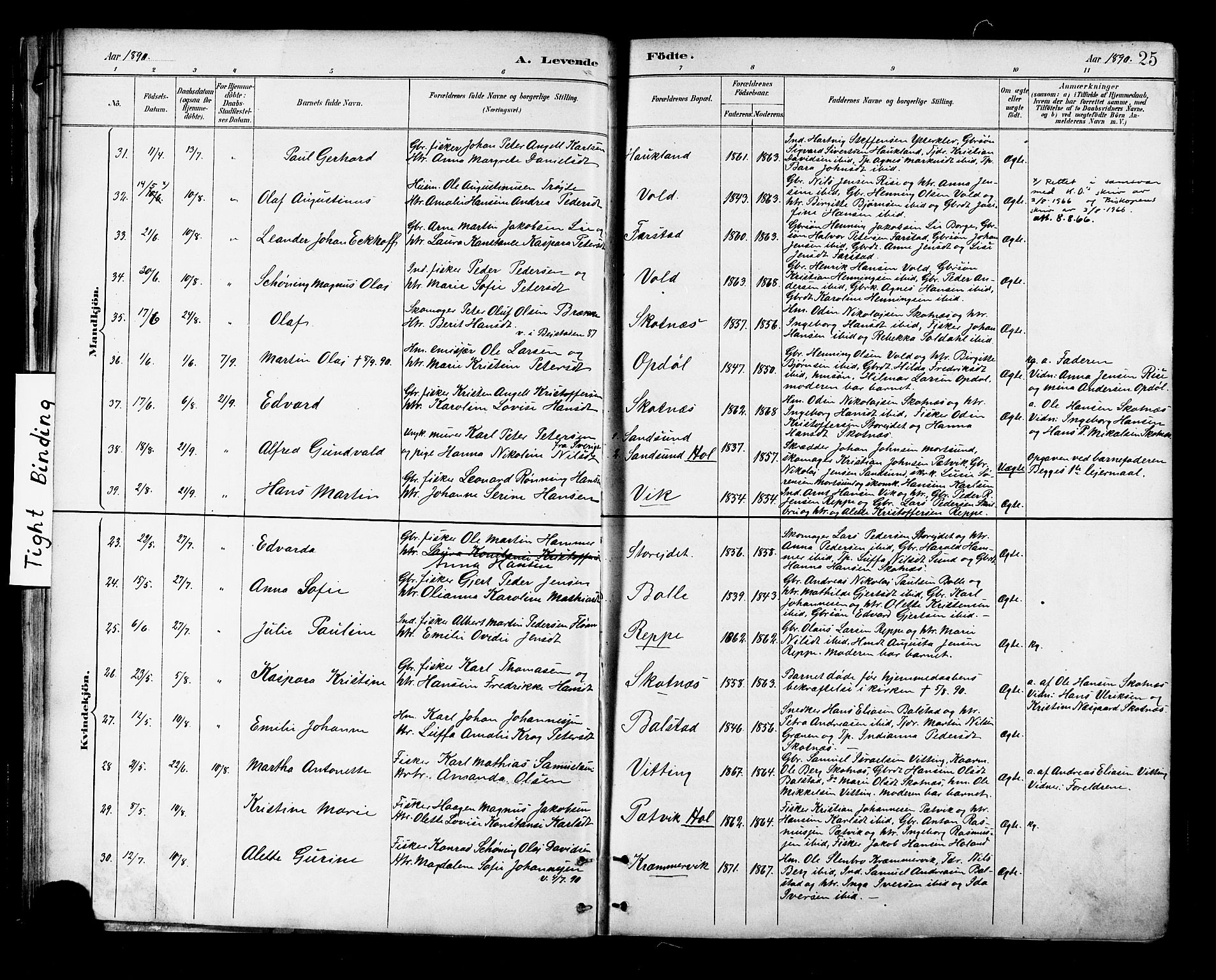 Ministerialprotokoller, klokkerbøker og fødselsregistre - Nordland, AV/SAT-A-1459/881/L1167: Parish register (copy) no. 881C04, 1886-1899, p. 25