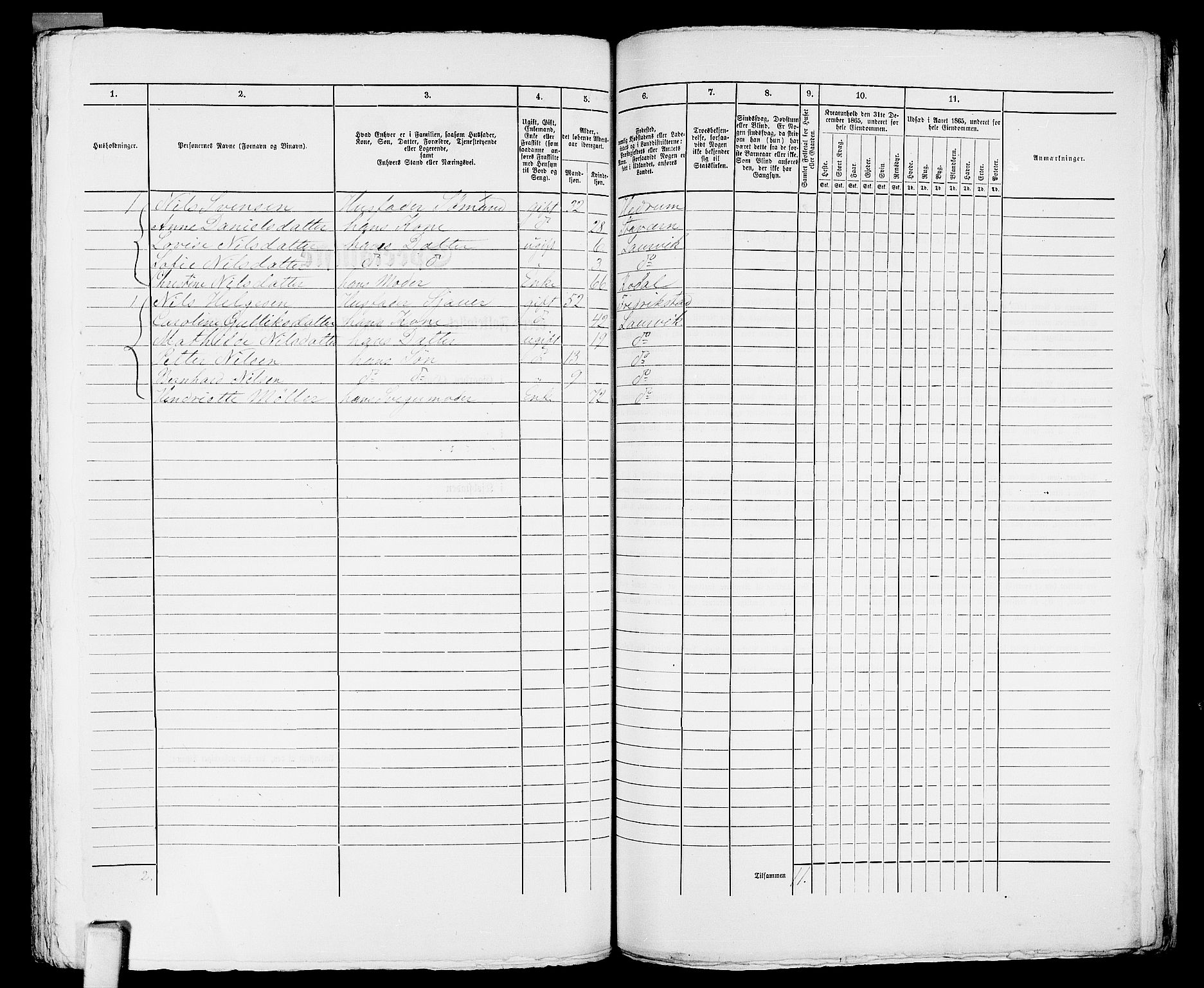 RA, 1865 census for Larvik, 1865, p. 1155