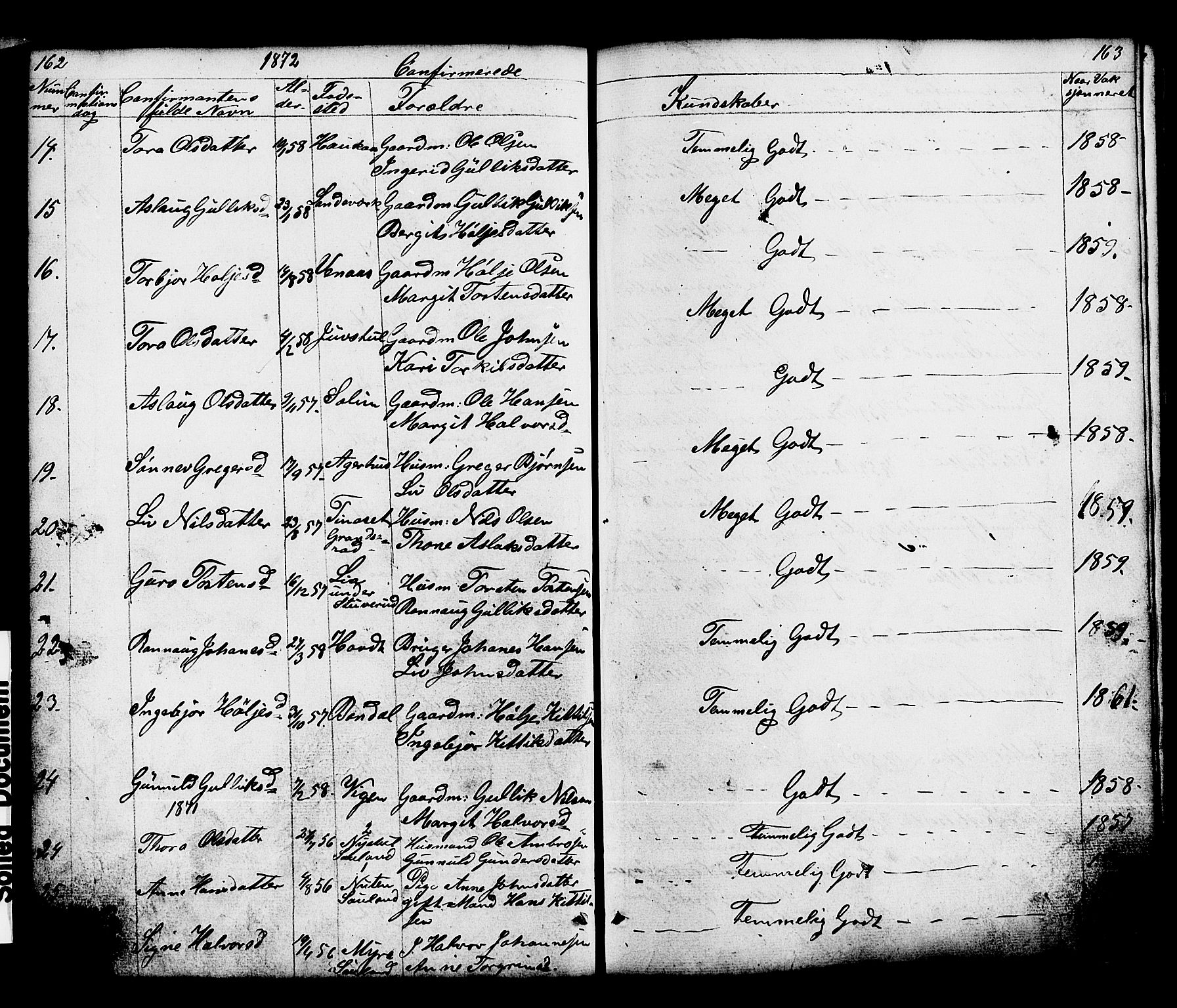 Hjartdal kirkebøker, SAKO/A-270/G/Gc/L0002: Parish register (copy) no. III 2, 1854-1890, p. 162-163