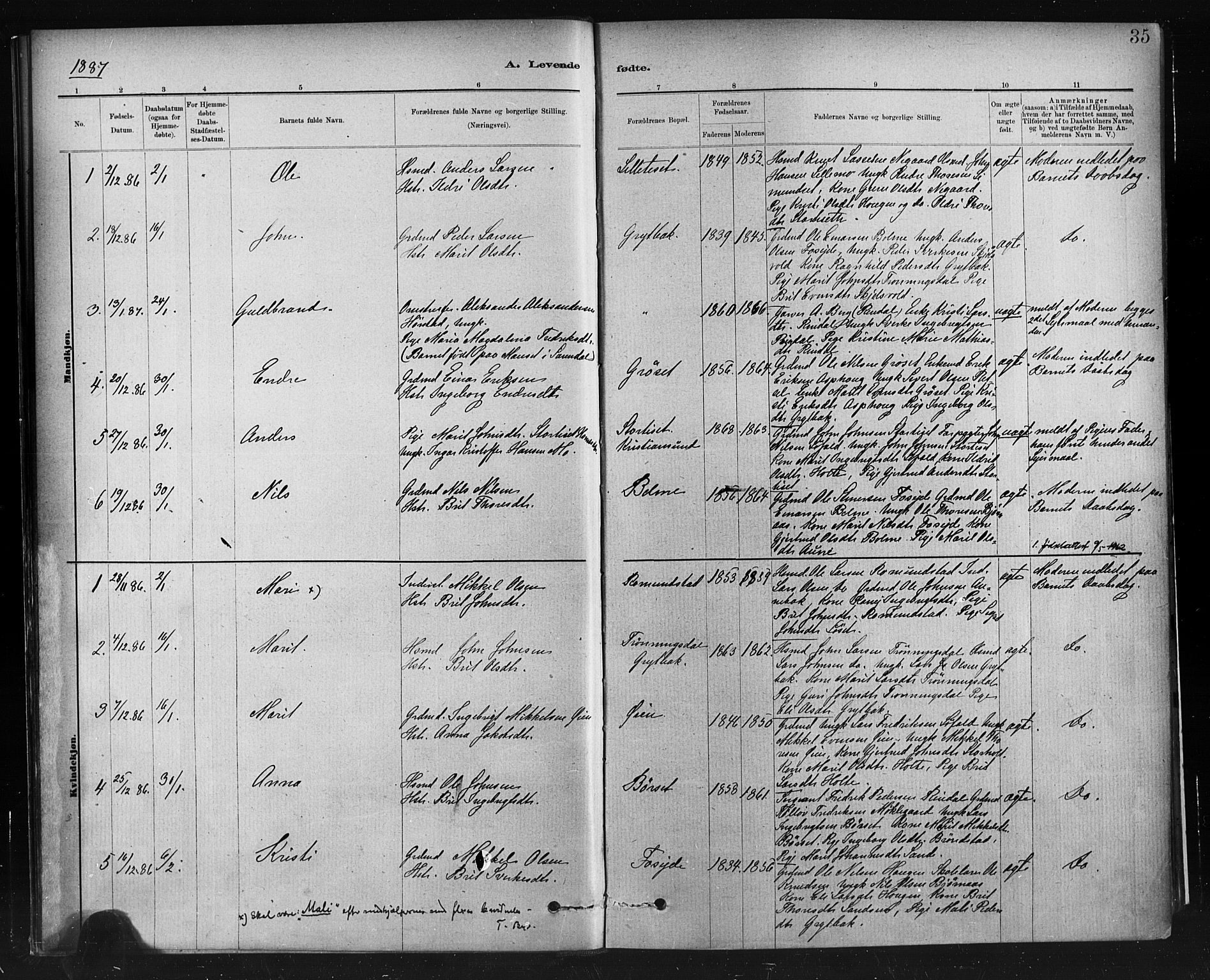 Ministerialprotokoller, klokkerbøker og fødselsregistre - Møre og Romsdal, AV/SAT-A-1454/598/L1069: Parish register (official) no. 598A03, 1882-1895, p. 35