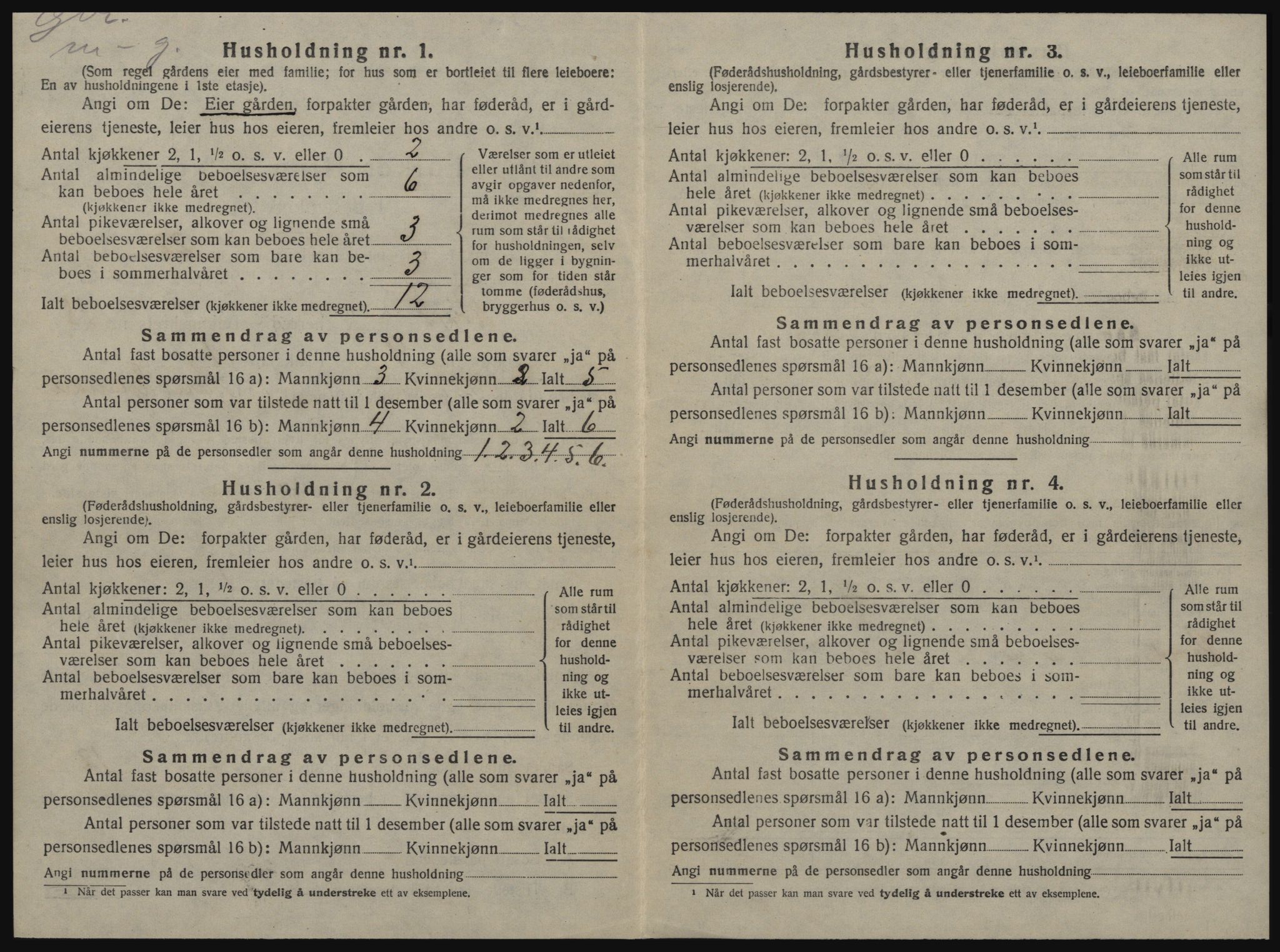 SAT, 1920 census for Røros, 1920, p. 1881