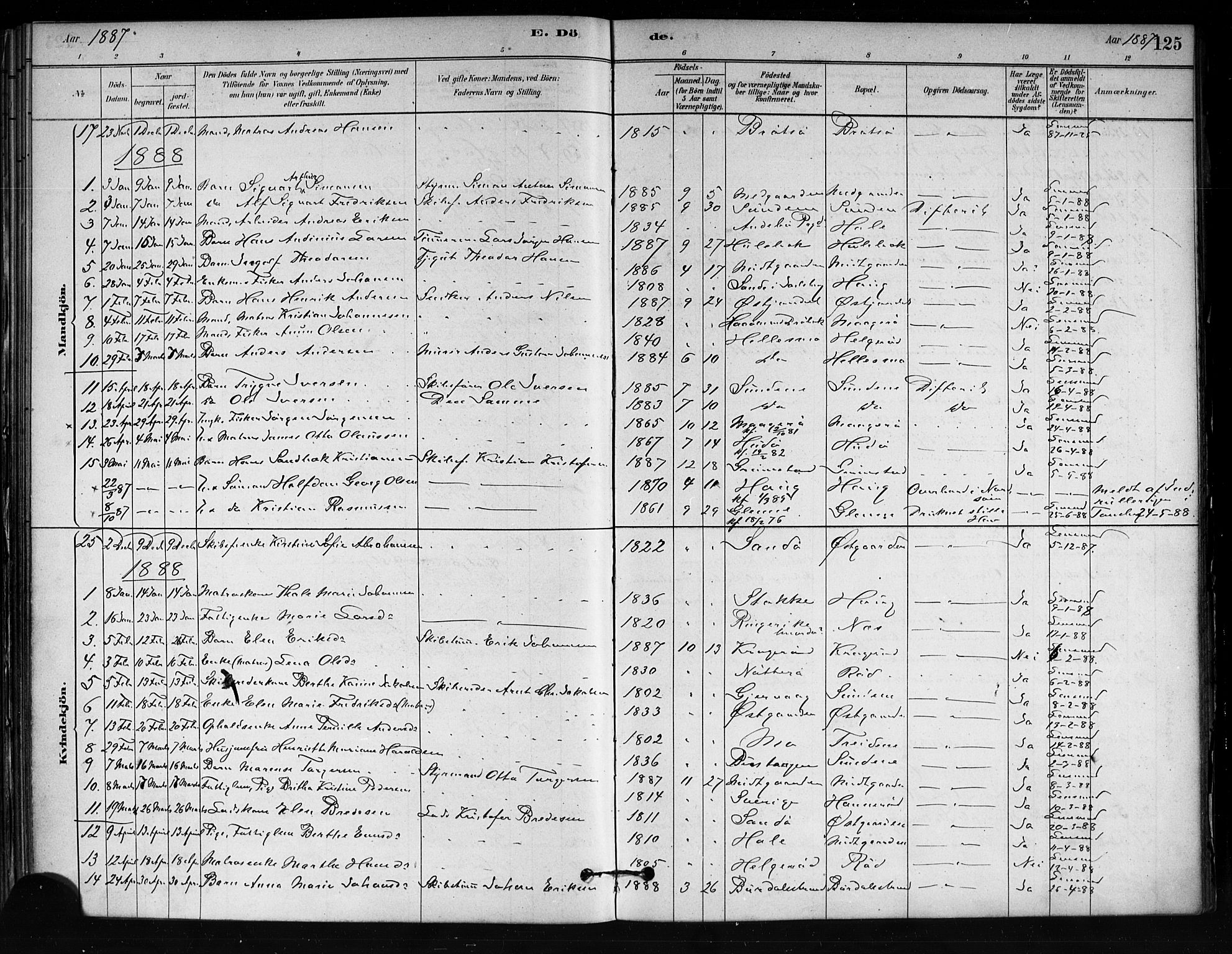 Tjøme kirkebøker, AV/SAKO-A-328/F/Fa/L0001: Parish register (official) no. I 1, 1879-1890, p. 125