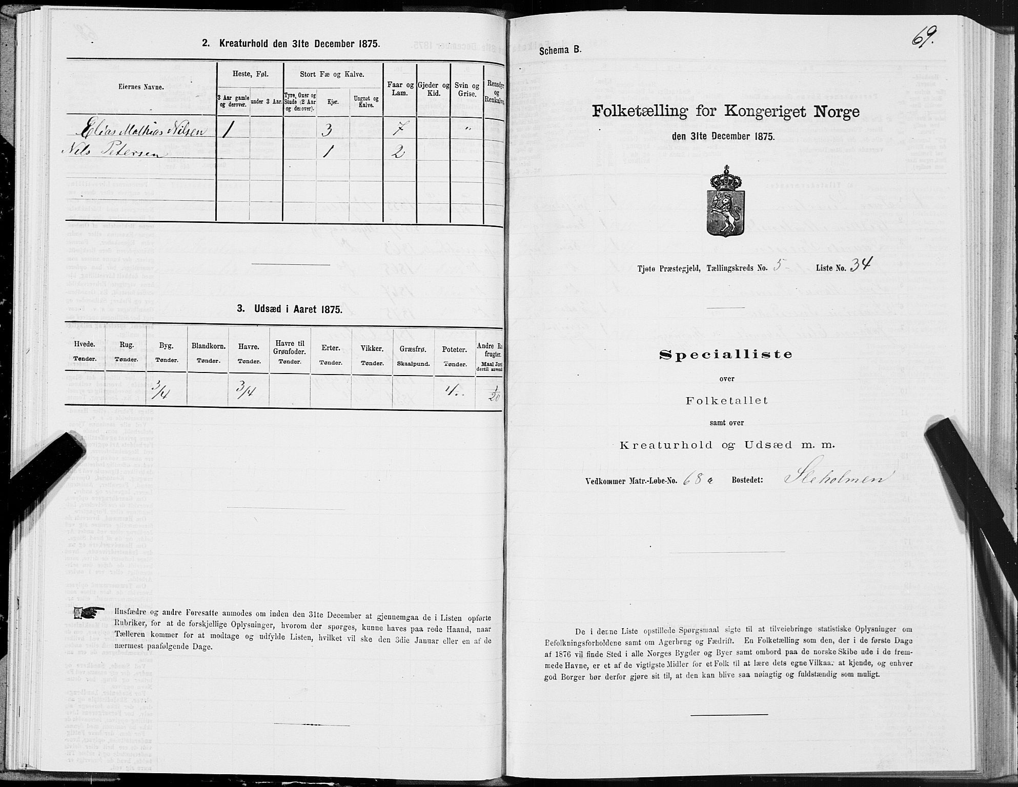 SAT, 1875 census for 1817P Tjøtta, 1875, p. 3069