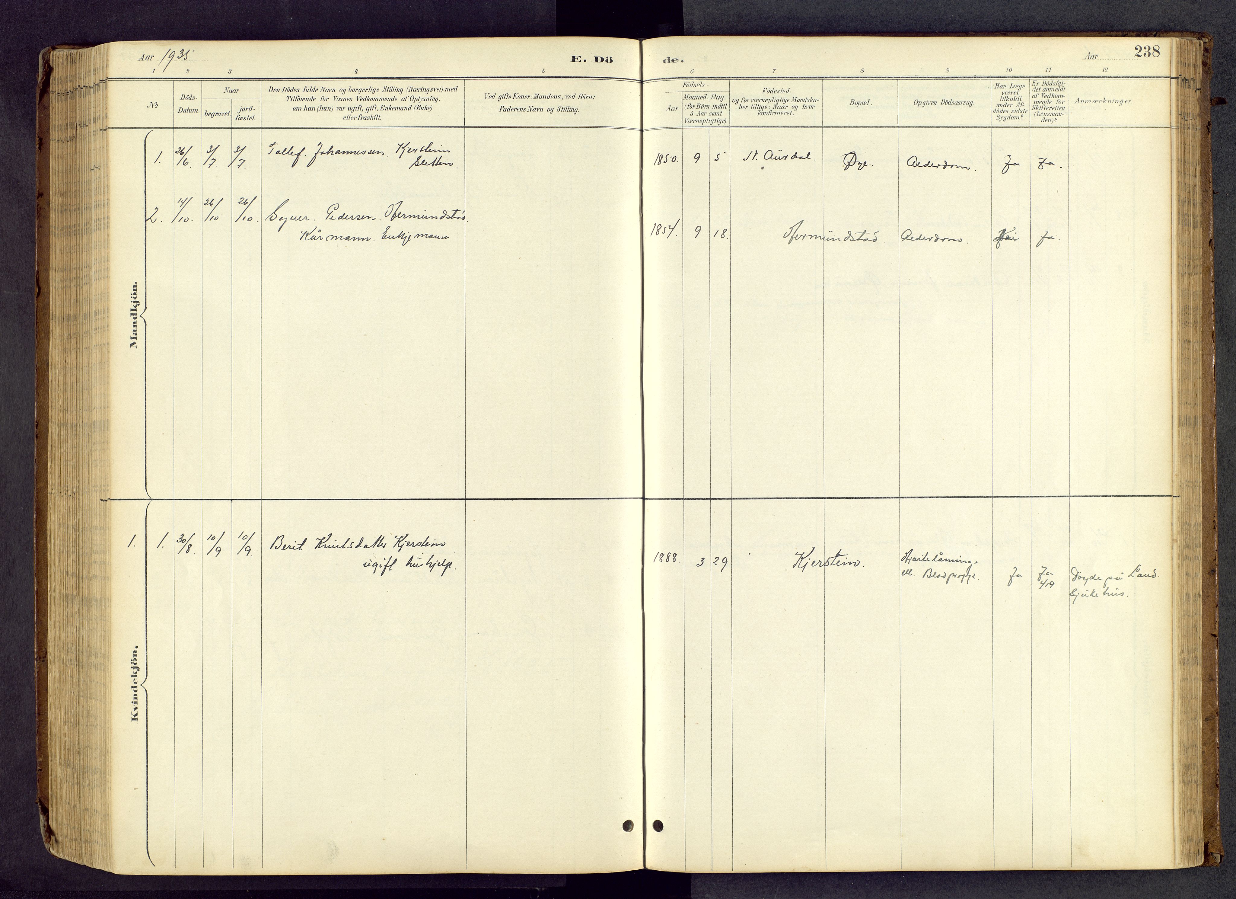 Vang prestekontor, Valdres, SAH/PREST-140/H/Hb/L0005: Parish register (copy) no. 5, 1889-1945, p. 238