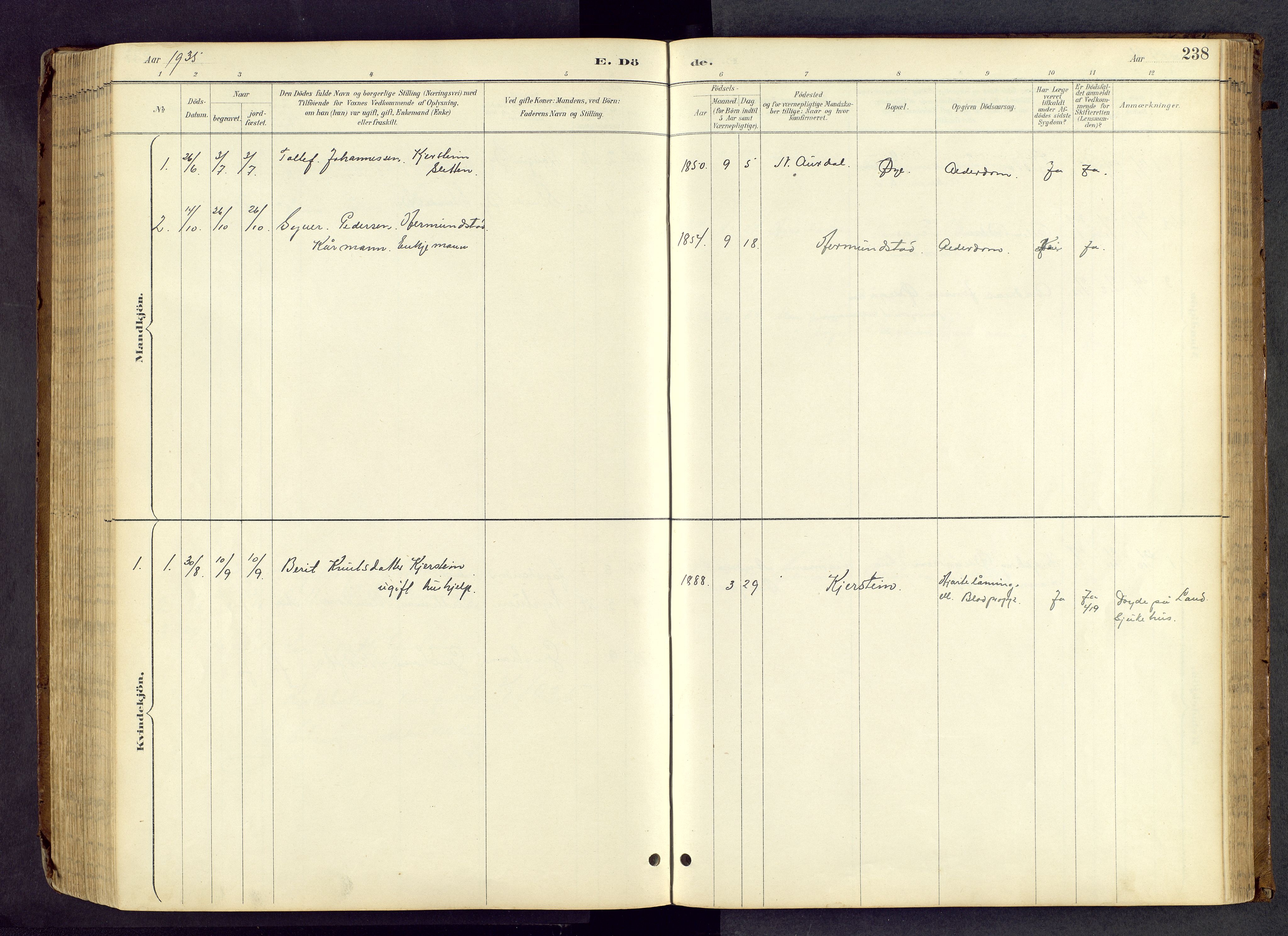 Vang prestekontor, Valdres, AV/SAH-PREST-140/H/Hb/L0005: Parish register (copy) no. 5, 1889-1945, p. 238