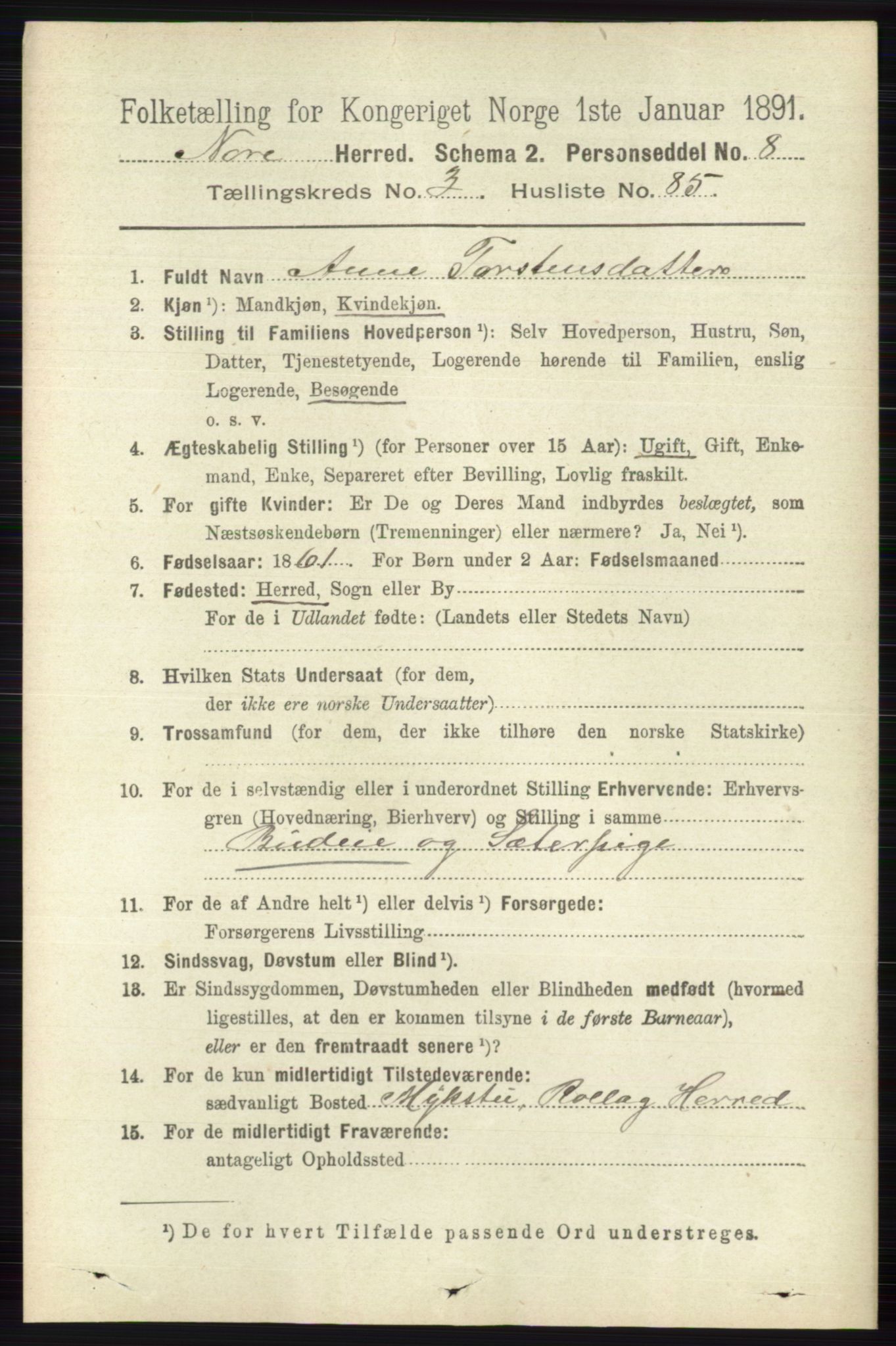 RA, 1891 census for 0633 Nore, 1891, p. 1215