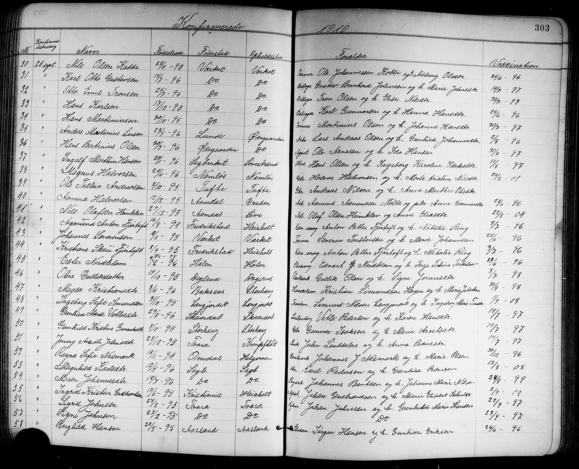 Holla kirkebøker, SAKO/A-272/G/Ga/L0005: Parish register (copy) no. I 5, 1891-1917, p. 303
