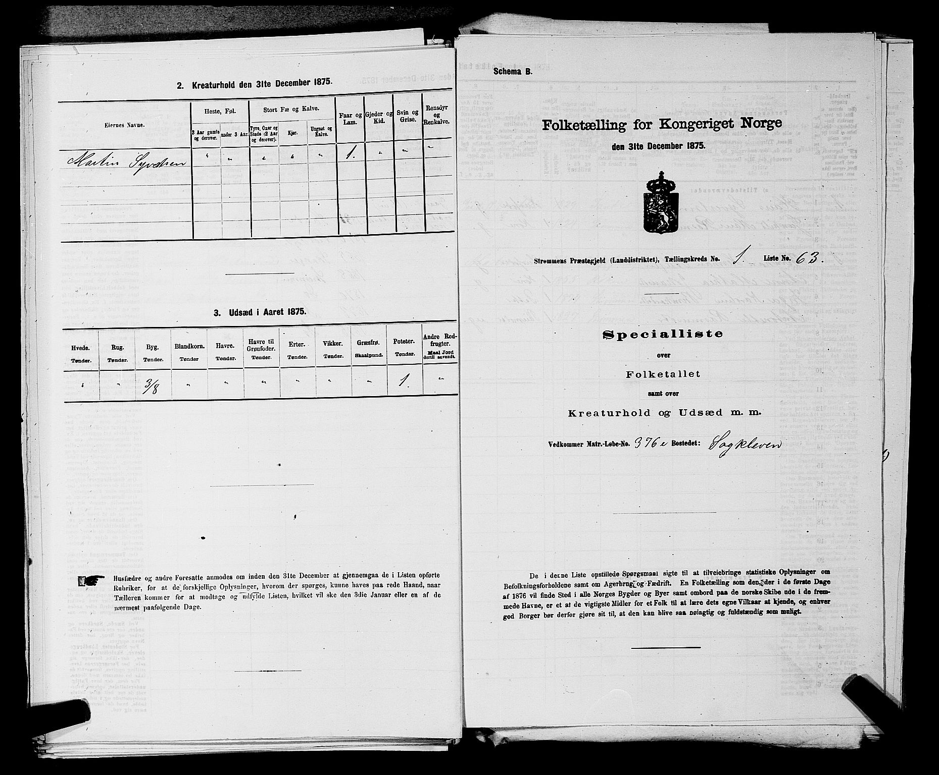 SAKO, 1875 census for 0711L Strømm/Strømm, 1875, p. 162