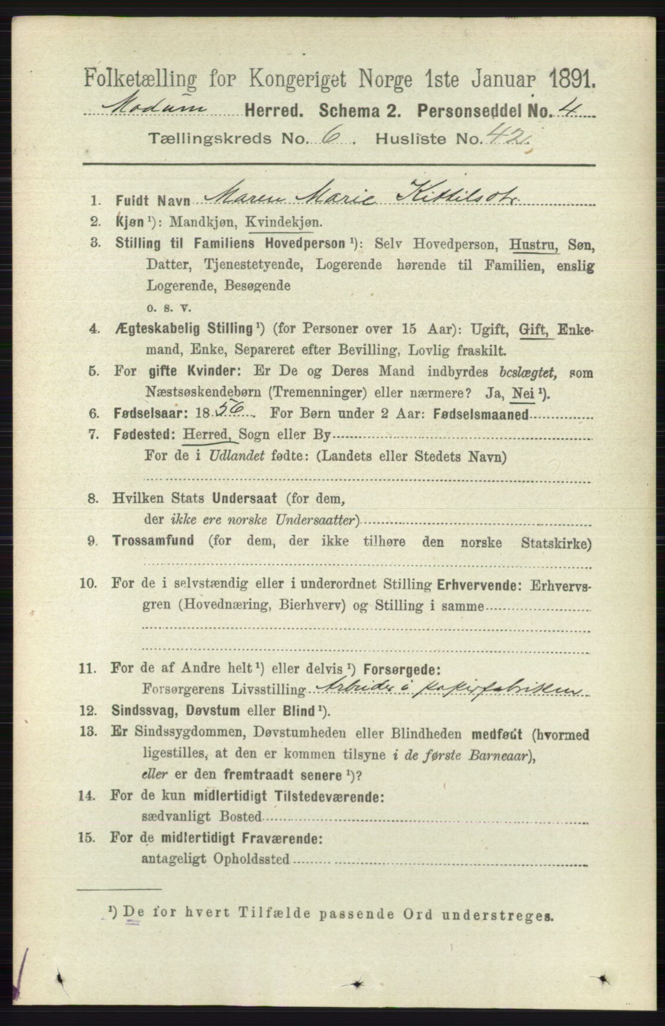 RA, 1891 census for 0623 Modum, 1891, p. 2546