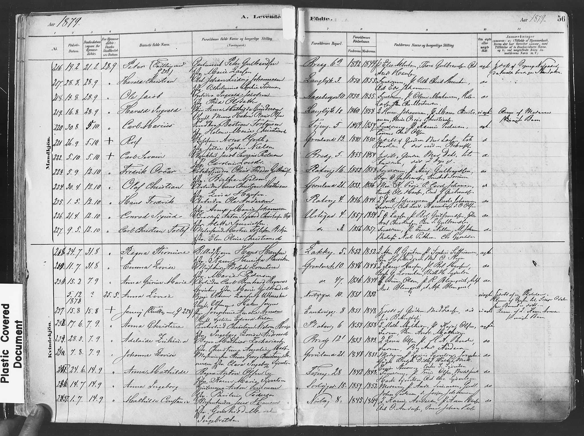 Grønland prestekontor Kirkebøker, SAO/A-10848/F/Fa/L0007: Parish register (official) no. 7, 1878-1888, p. 56