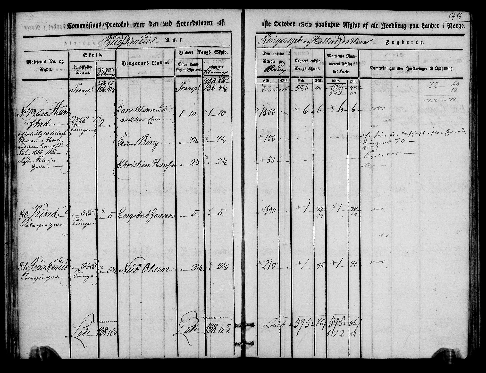 Rentekammeret inntil 1814, Realistisk ordnet avdeling, AV/RA-EA-4070/N/Ne/Nea/L0046: Ringerike og Hallingdal fogderi. Kommisjonsprotokoll for Hole prestegjeld, 1803, p. 34