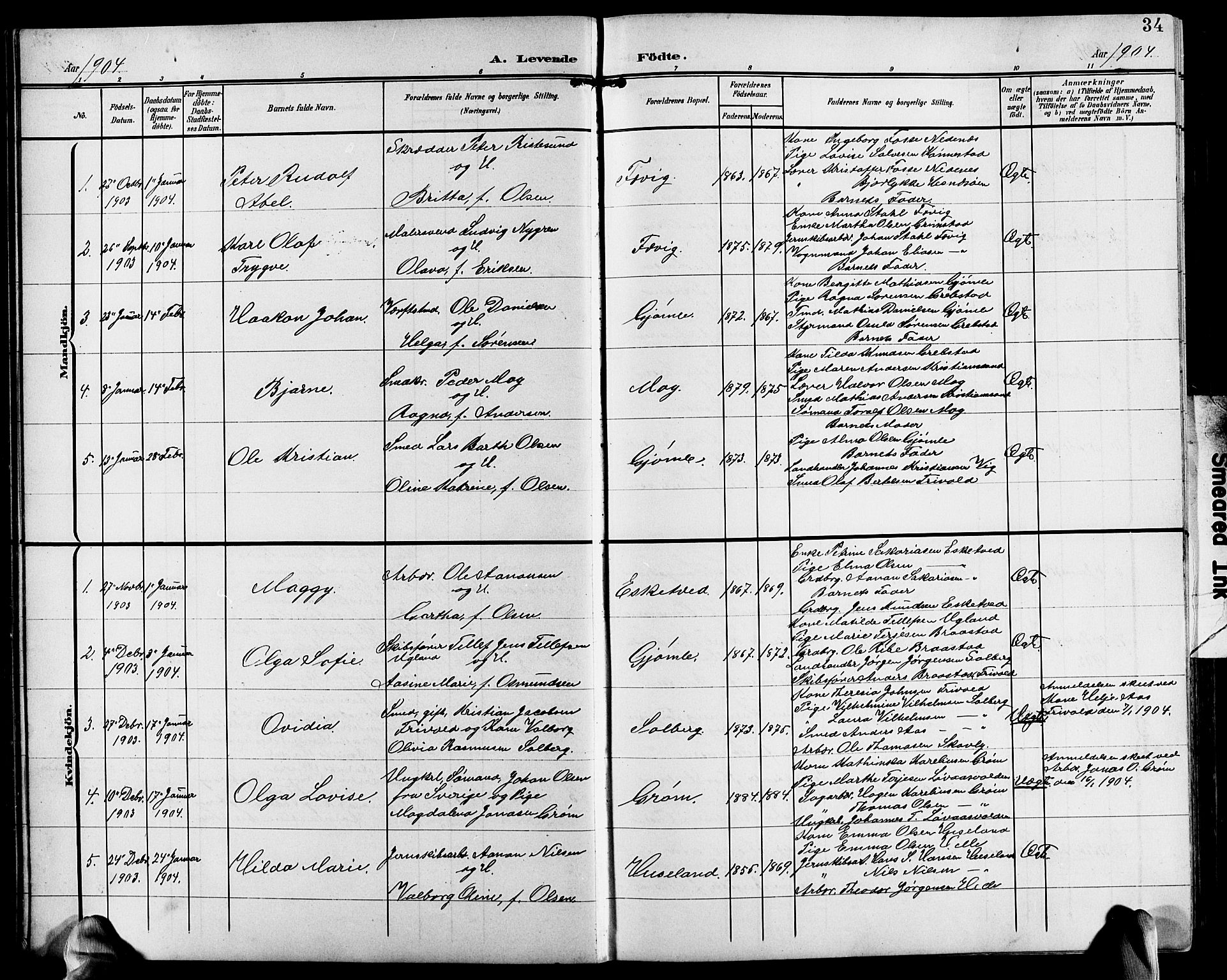 Fjære sokneprestkontor, SAK/1111-0011/F/Fb/L0012: Parish register (copy) no. B 12, 1902-1925, p. 34