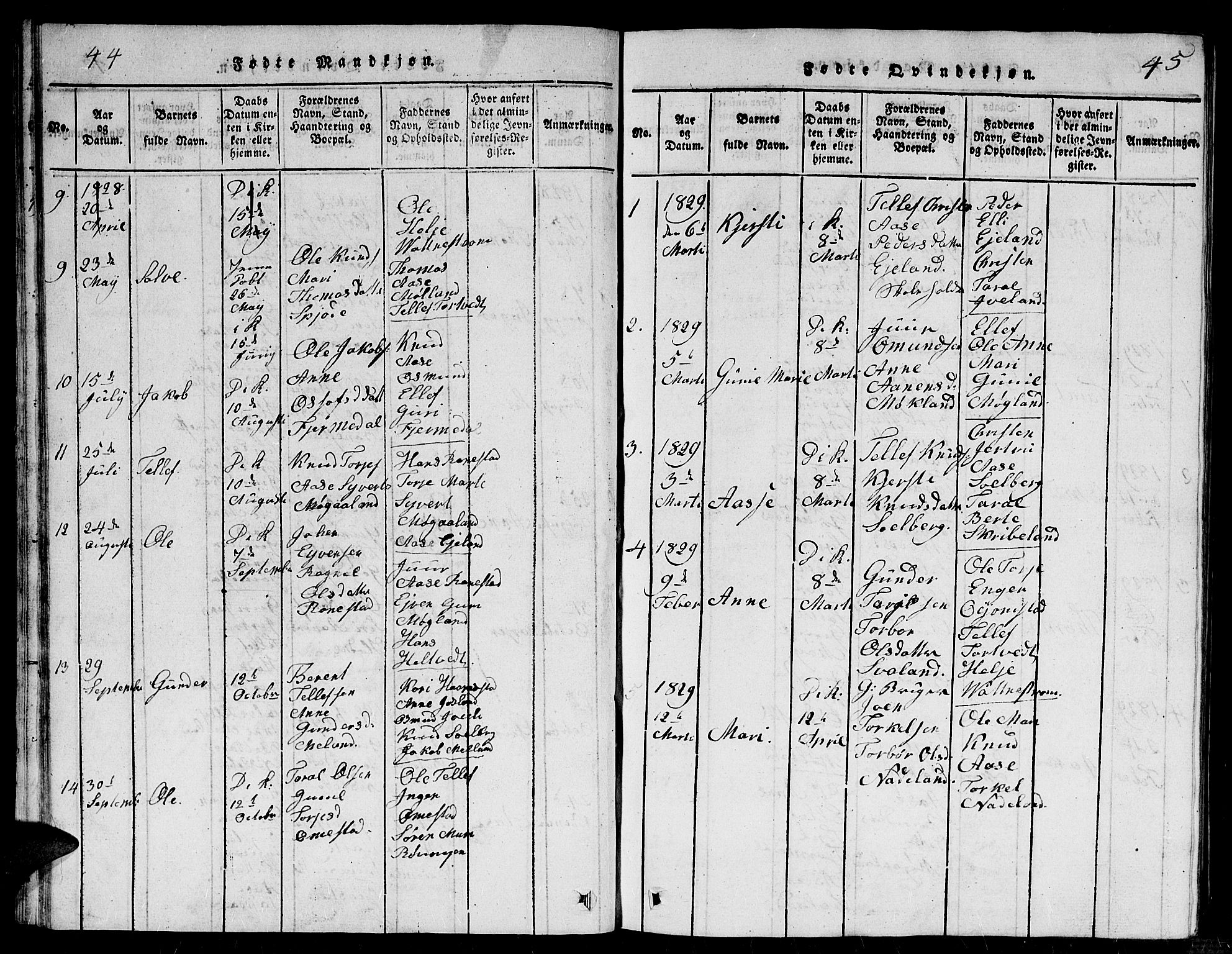 Evje sokneprestkontor, SAK/1111-0008/F/Fb/Fbc/L0001: Parish register (copy) no. B 1, 1816-1836, p. 44-45