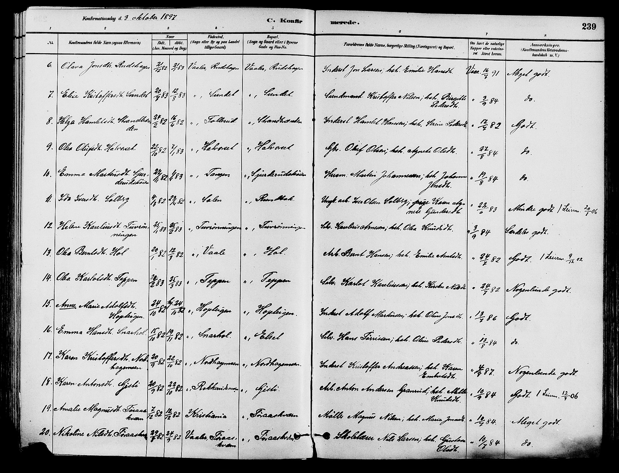 Våler prestekontor, Hedmark, AV/SAH-PREST-040/H/Ha/Haa/L0002: Parish register (official) no. 3, 1879-1911, p. 239