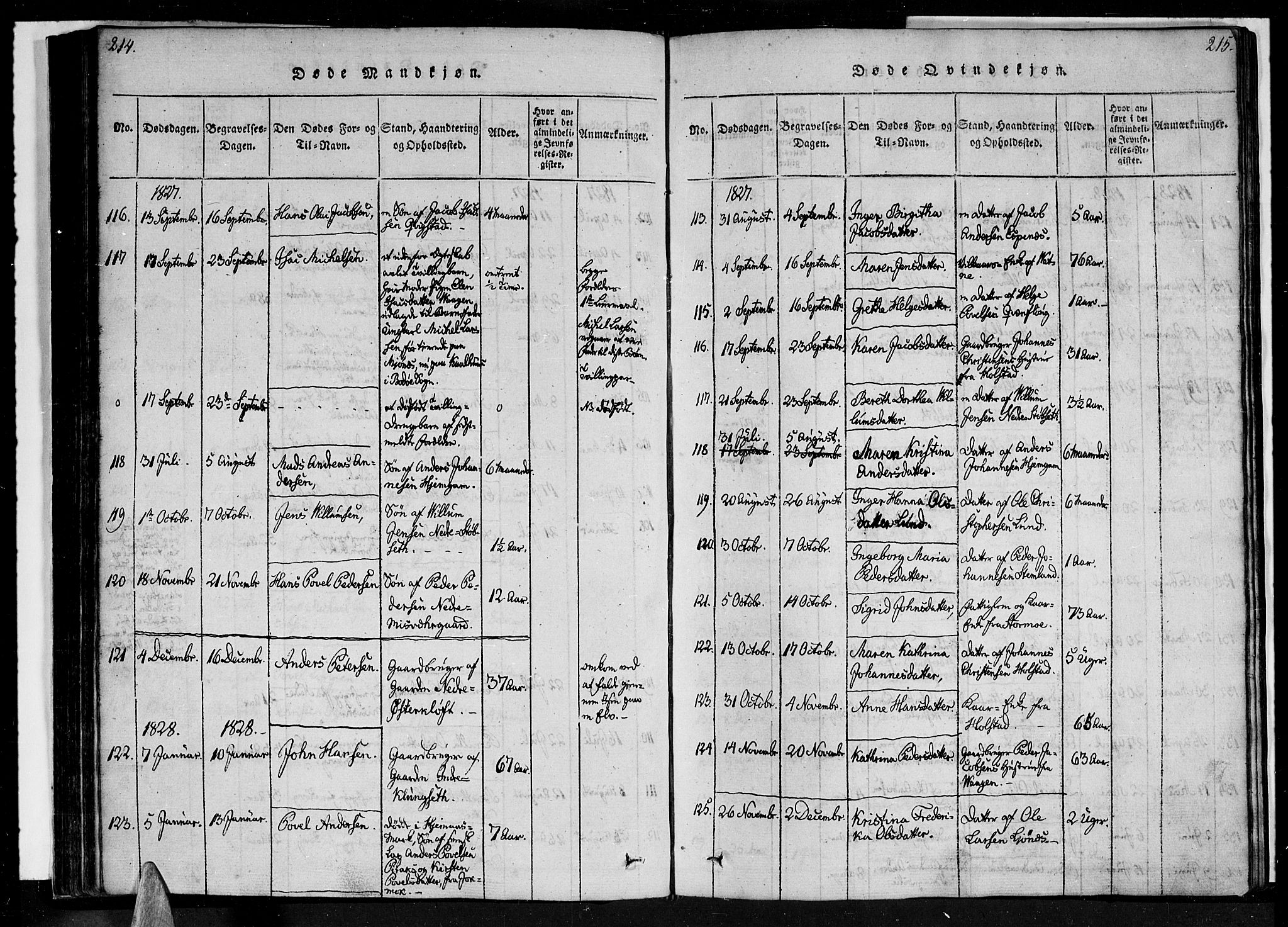 Ministerialprotokoller, klokkerbøker og fødselsregistre - Nordland, SAT/A-1459/852/L0736: Parish register (official) no. 852A06, 1820-1833, p. 214-215