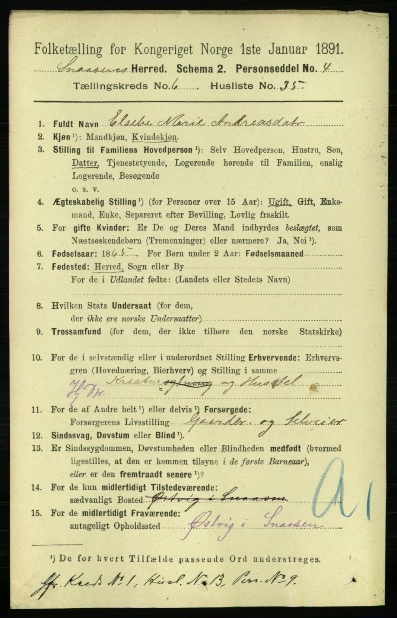 RA, 1891 census for 1736 Snåsa, 1891, p. 2095