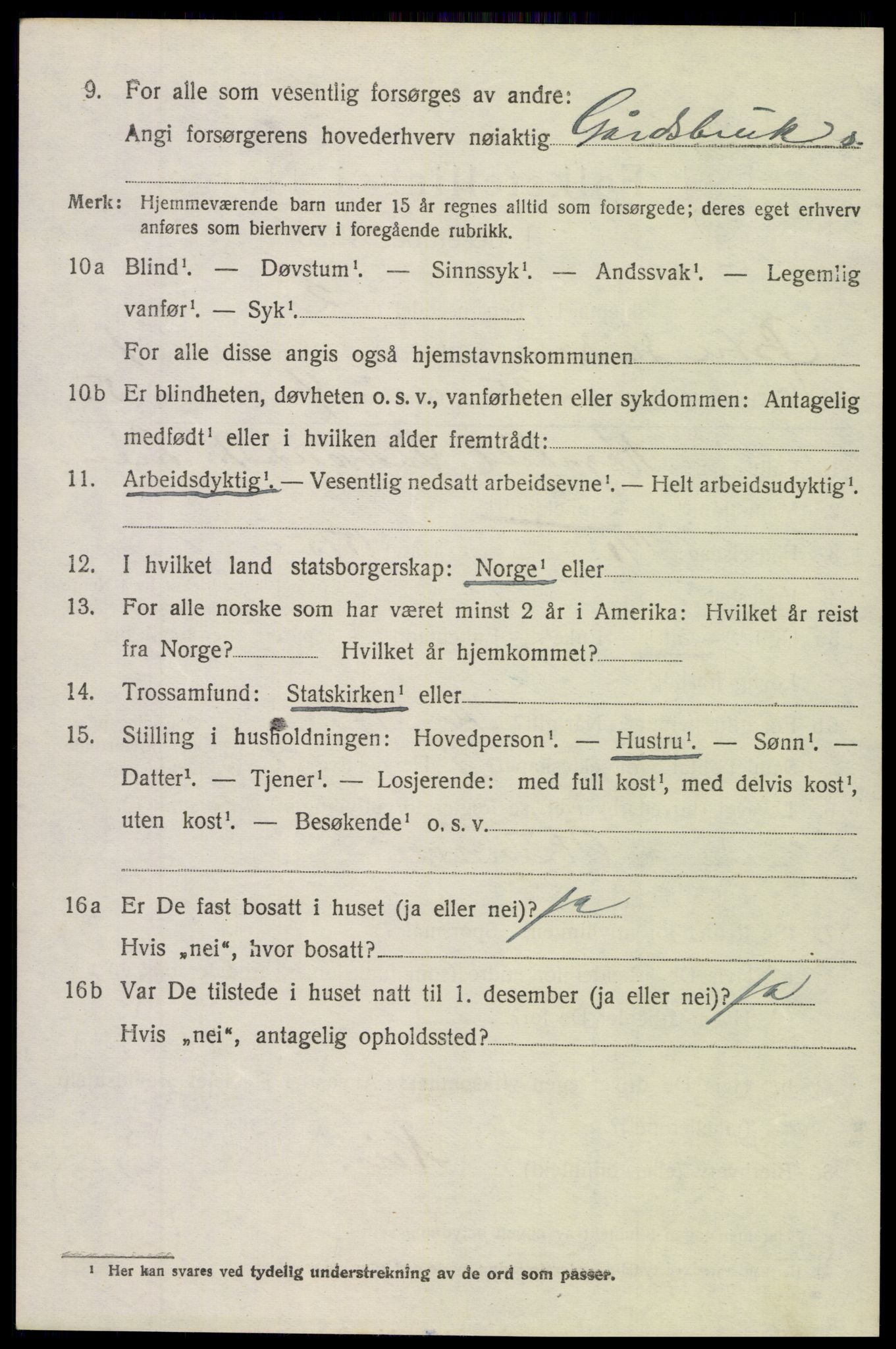 SAH, 1920 census for Øystre Slidre, 1920, p. 1420